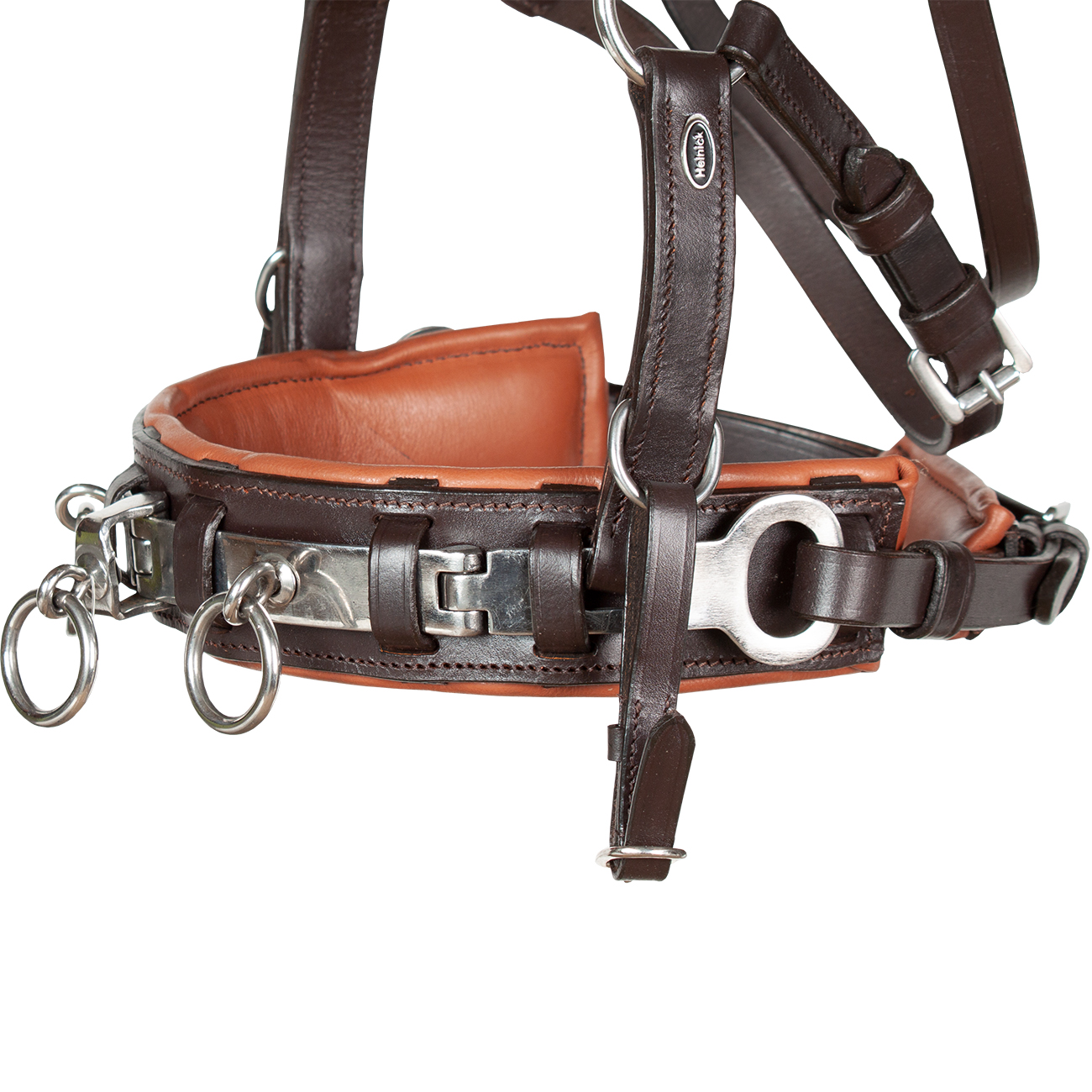 Kappzaumeisen-Naseneisen-Edelstahl-Leder-anatomisch-gebrochen-Wiener-Warmblut-Vollblut-Braun Kappzaumeisen-Naseneisen-Edelstahl-Leder-anatomisch-gebrochen-Wiener-Warmblut-Vollblut-Braun