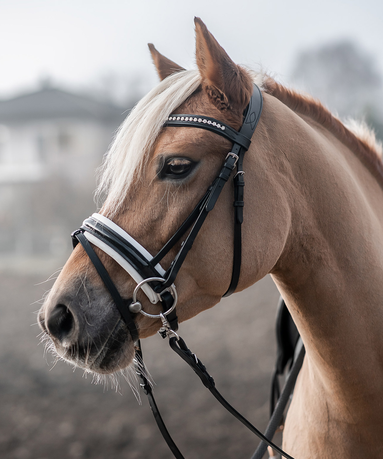 Motion Trense mit extra breitem Nasenriemen