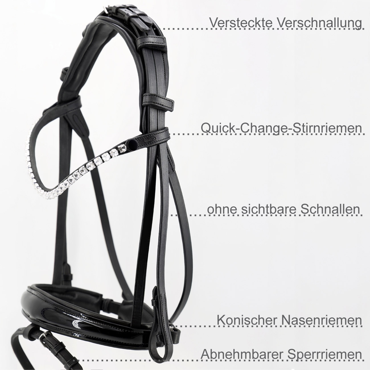 Trense-ProLine-Muenchen-Flach-Zaumhaken-entfernbarer-Sperrriemen-Schwarz Trense-ProLine-Muenchen-Flach-Zaumhaken-entfernbarer-Sperrriemen-Schwarz