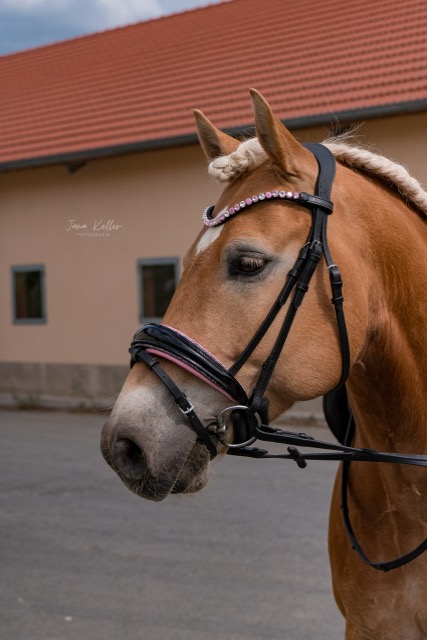 Strubi von @joana_1998