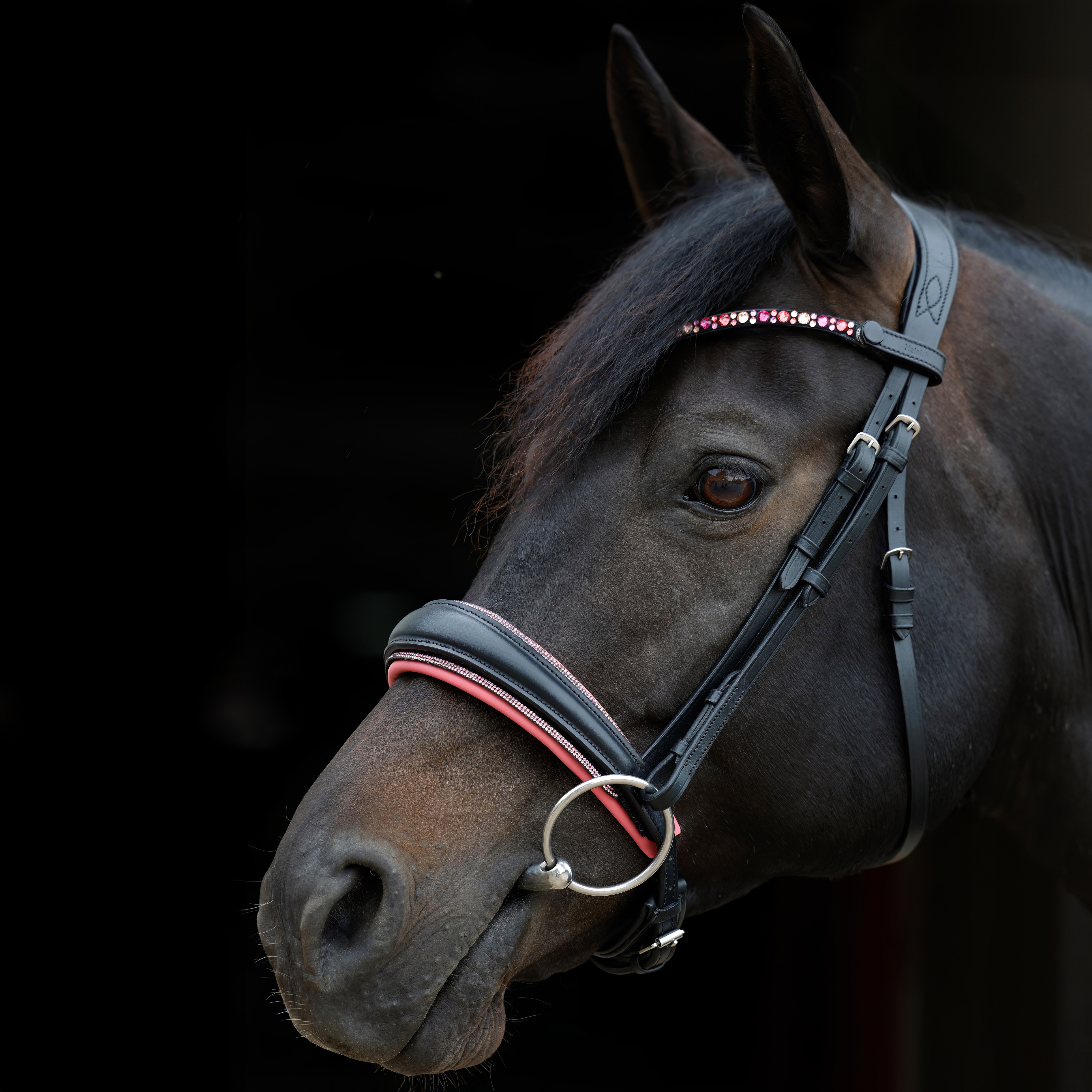 Trense-Switch-Shiny-ohne-Sperrriemen-Schwarz-Glitzer-Rose Trense-Switch-Shiny-ohne-Sperrriemen-Schwarz-Glitzer-Rose