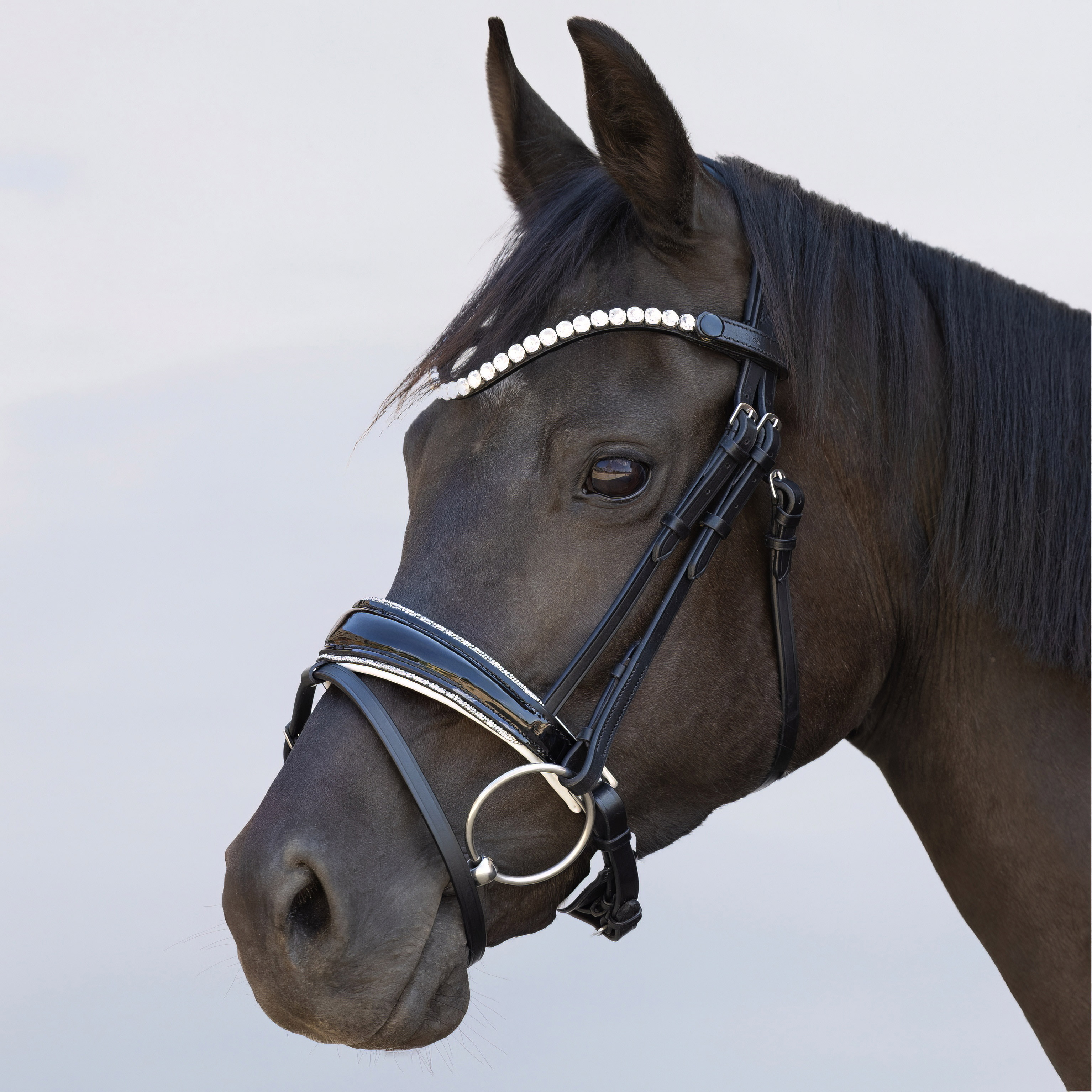 Trense-abnehmbarer-Sperrriemen-Schwarz-Weiss-Shiny-Glitzer-Silber Trense-abnehmbarer-Sperrriemen-Schwarz-Weiss-Shiny-Glitzer-Silber