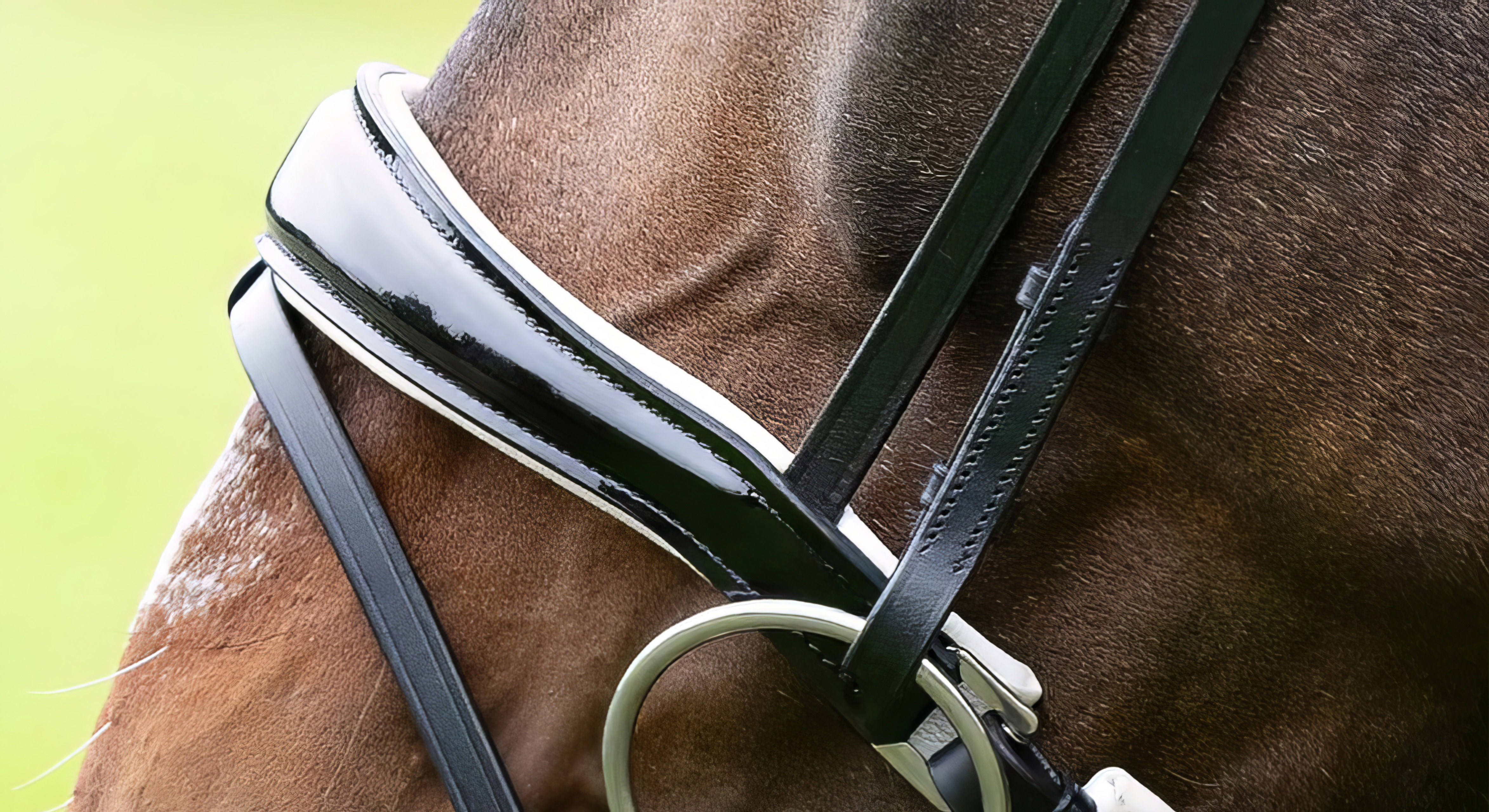 Backenstuecke-Weiss-Zaumhaken