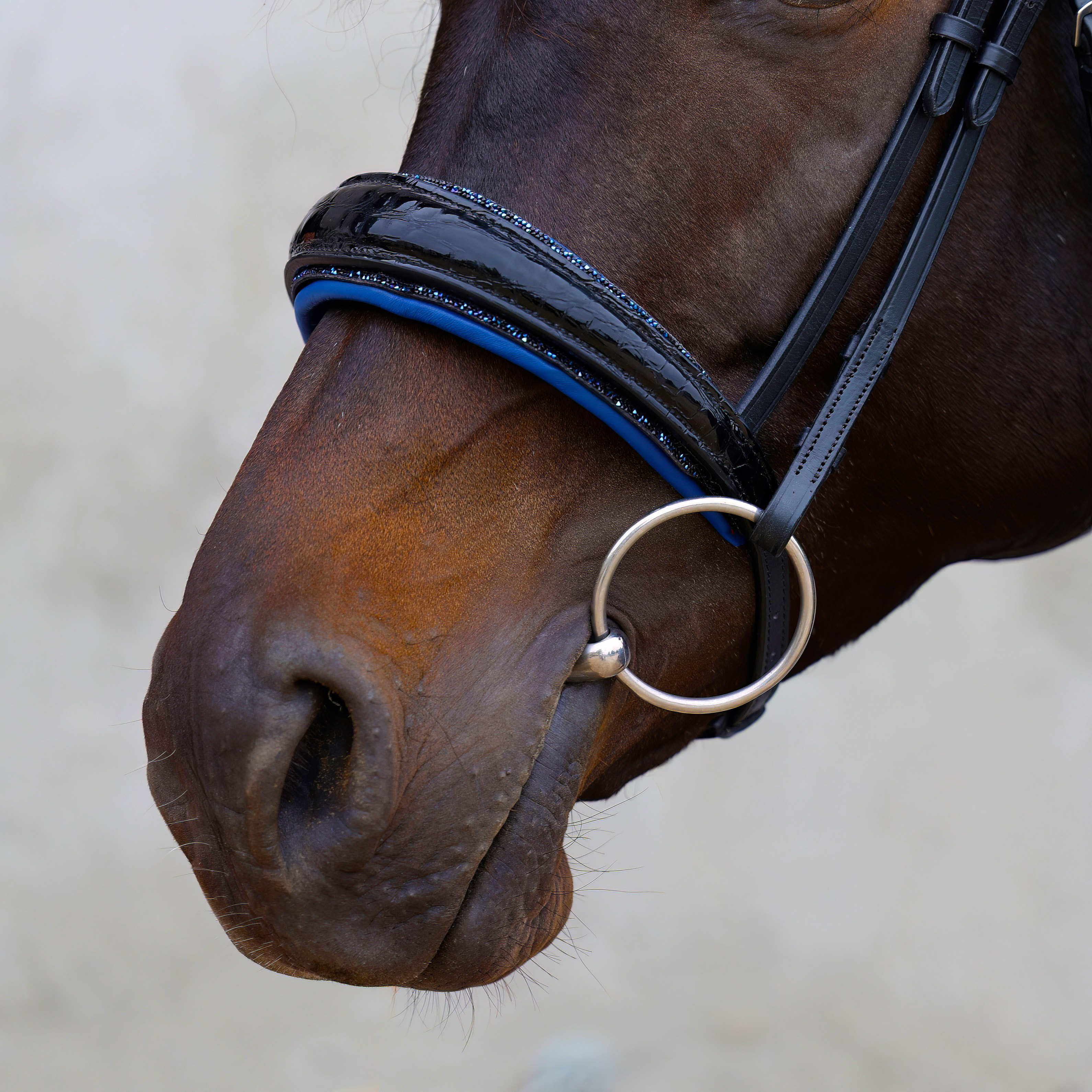 Reithalfter-Croco-Lack-Switch-Schwarz-Glitzer Reithalfter-Croco-Lack-Switch-Schwarz-Glitzer