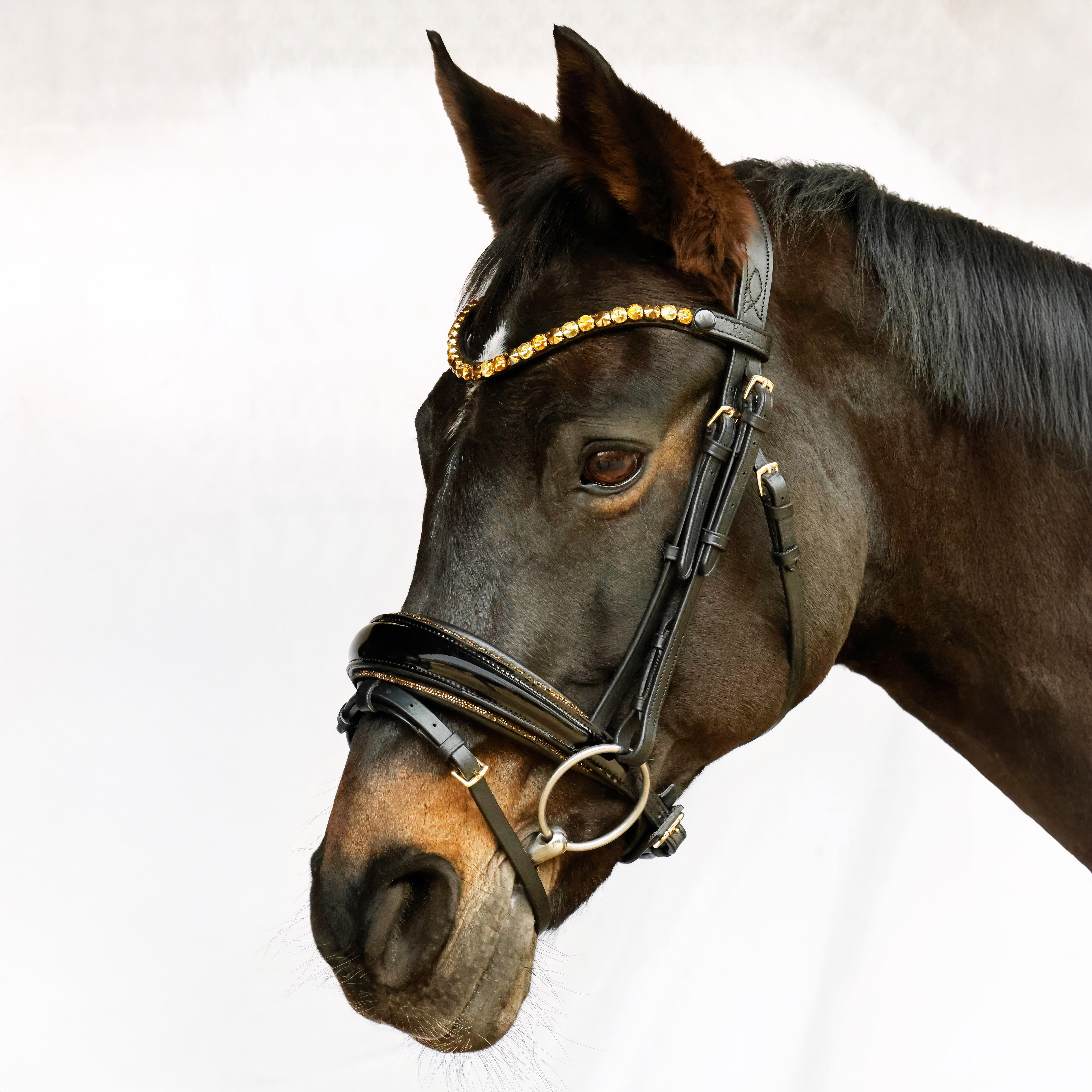 Trense-Switch-Conic-entfernbarer-Sperrriemen-Gold-Schwarz