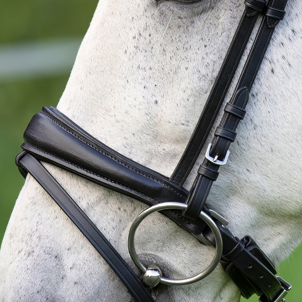 Backenstuecke-Competition-Schwarz-Schnallen-Warmblut-Vollblut Backenstuecke-Competition-Schwarz-Schnallen-Warmblut-Vollblut