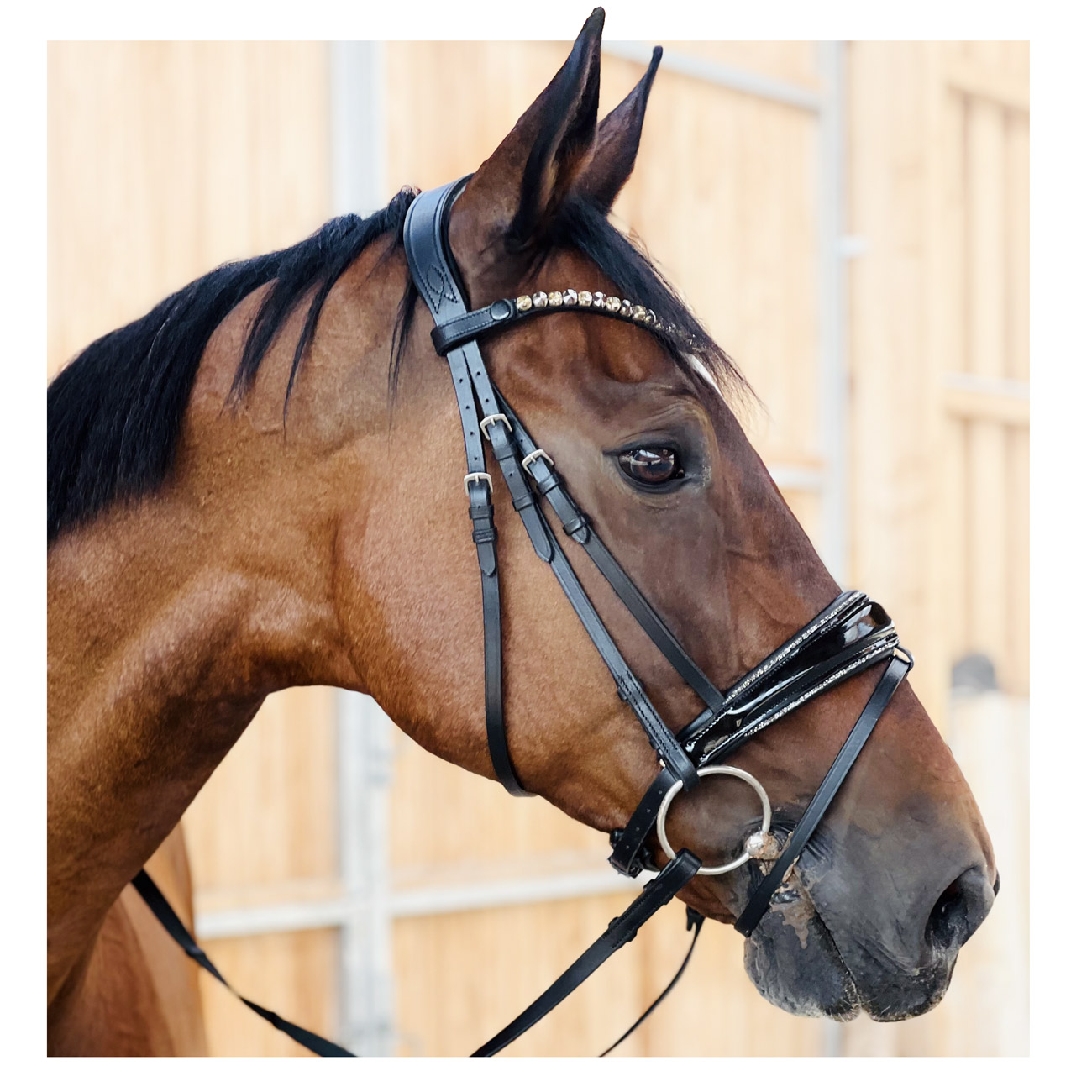 daroda-shiny-trense-lack daroda-shiny-trense-lack