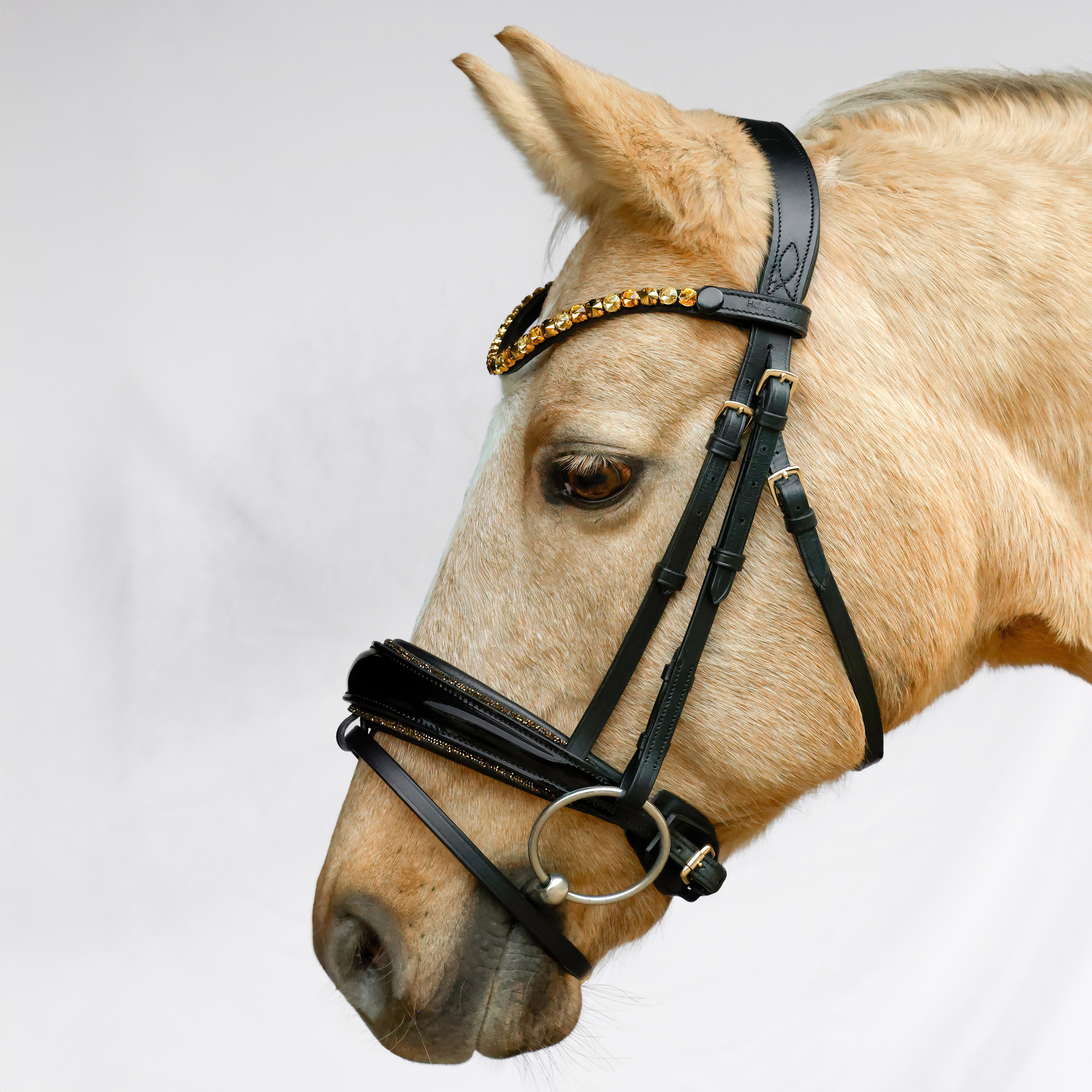 Trense-Switch-Conic-Gold-entfernbarer-Sperrriemen-Schwarz