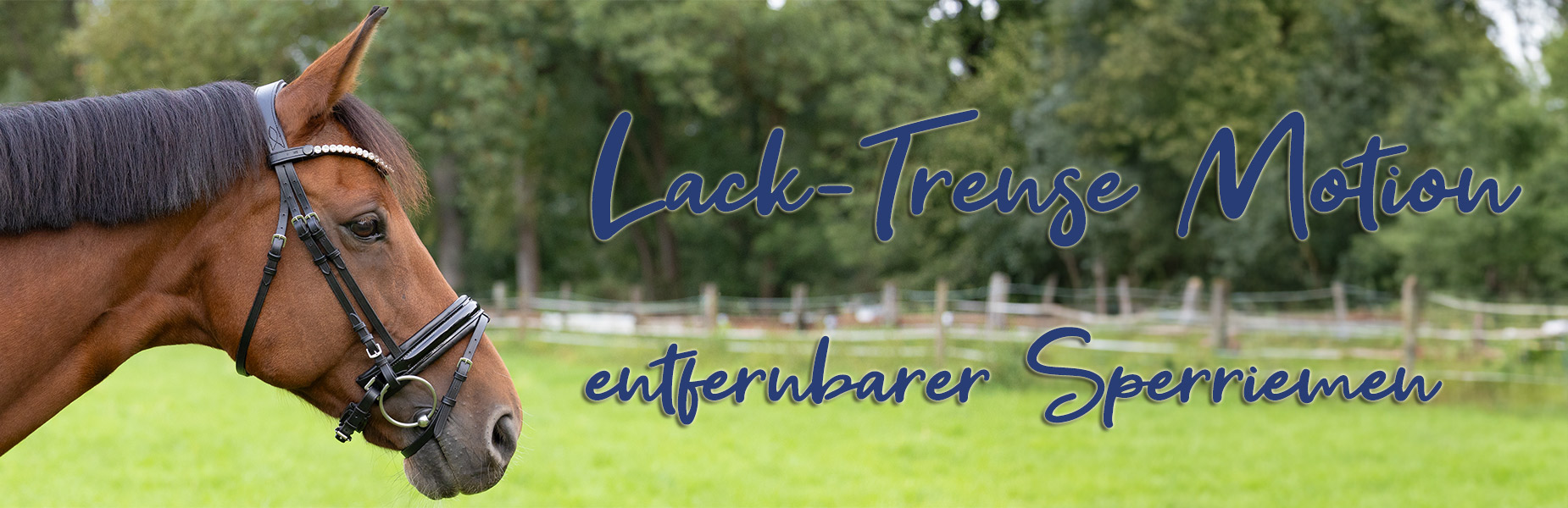 Trense-Motion-Lack-Banner Trense-Motion-Lack-Banner