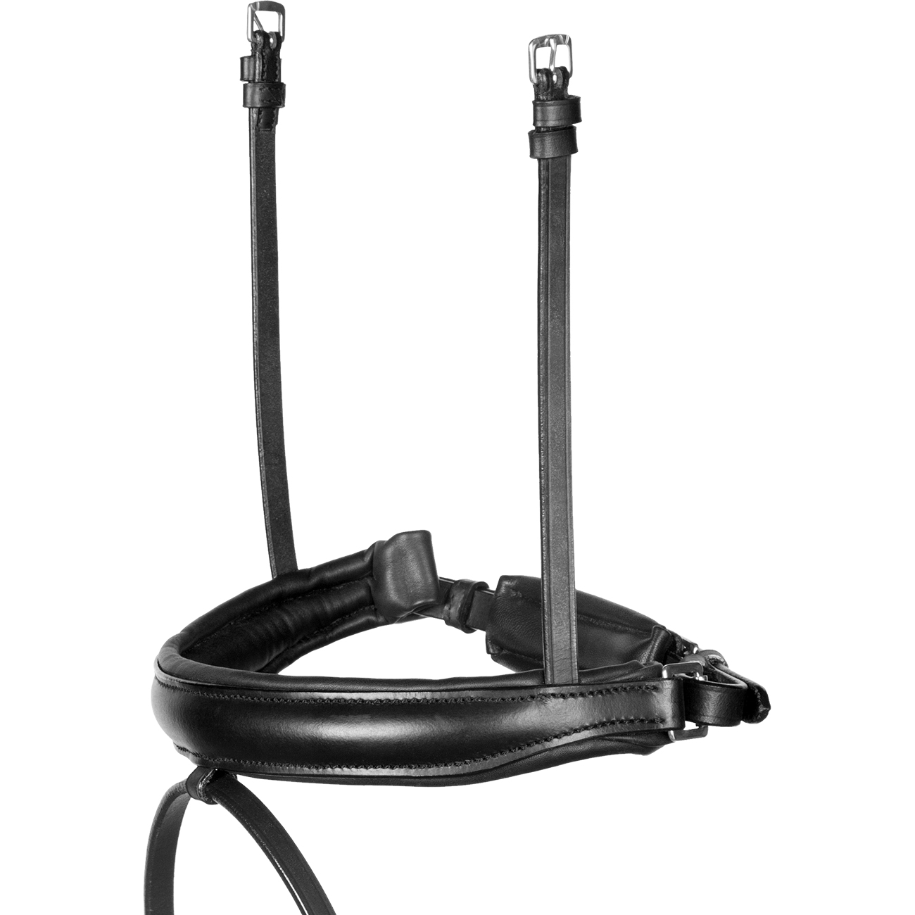 RH-Selection-Schwarz-3 RH-Selection-Schwarz-3