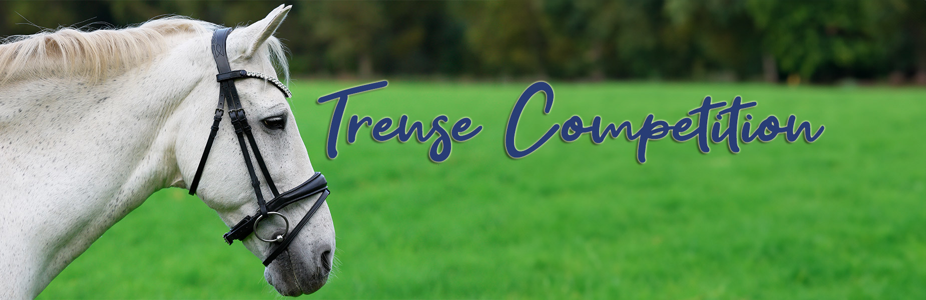 Trense-Competiion-Banner Trense-Competiion-Banner