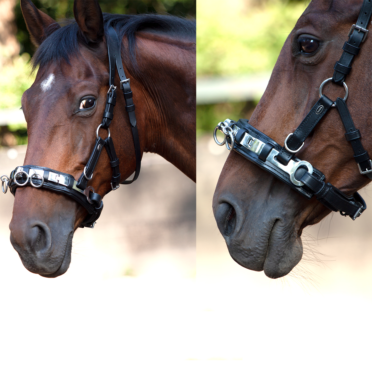 Kappzaum-Leder-anatomisch-mit-Naseneisen-Edelstahl-Wiener-Warmblut-Vollblut-Schwarz Kappzaum-Leder-anatomisch-mit-Naseneisen-Edelstahl-Wiener-Warmblut-Vollblut-Schwarz