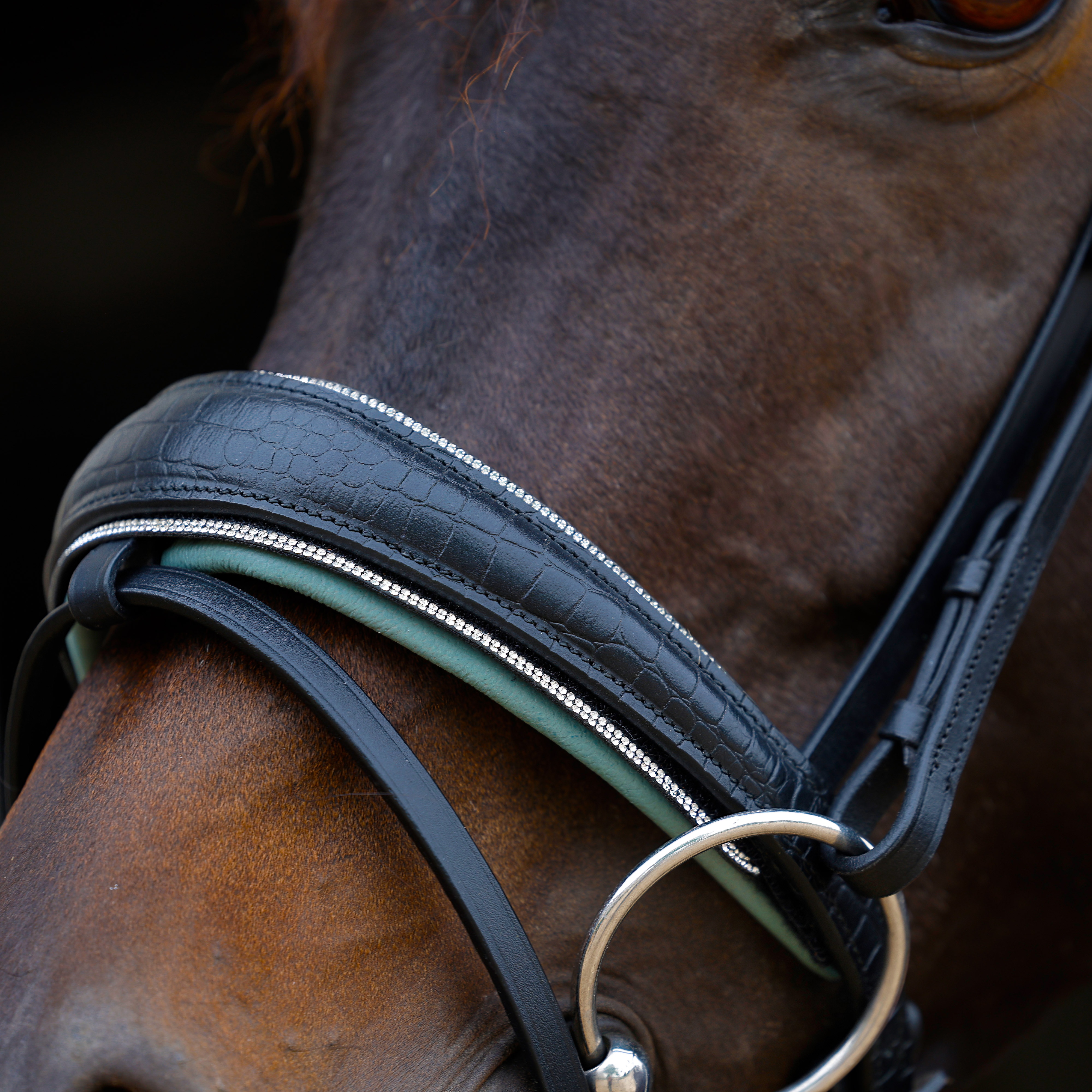 Trense-Croco-Switch-Schwarz-Glitzer-Wechselpolster Trense-Croco-Switch-Schwarz-Glitzer-Wechselpolster