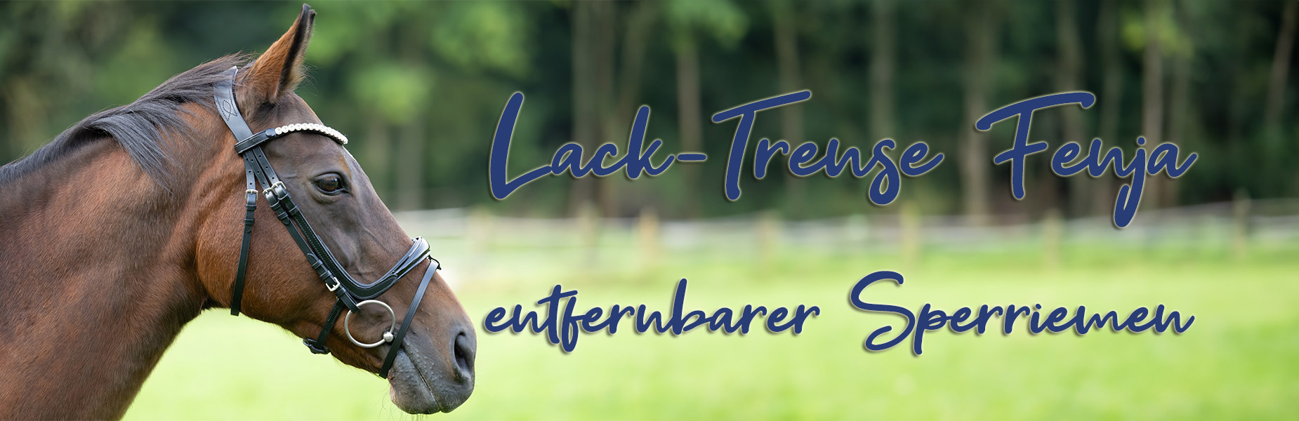 Trense-Fenja-Lack-Banner Trense-Fenja-Lack-Banner