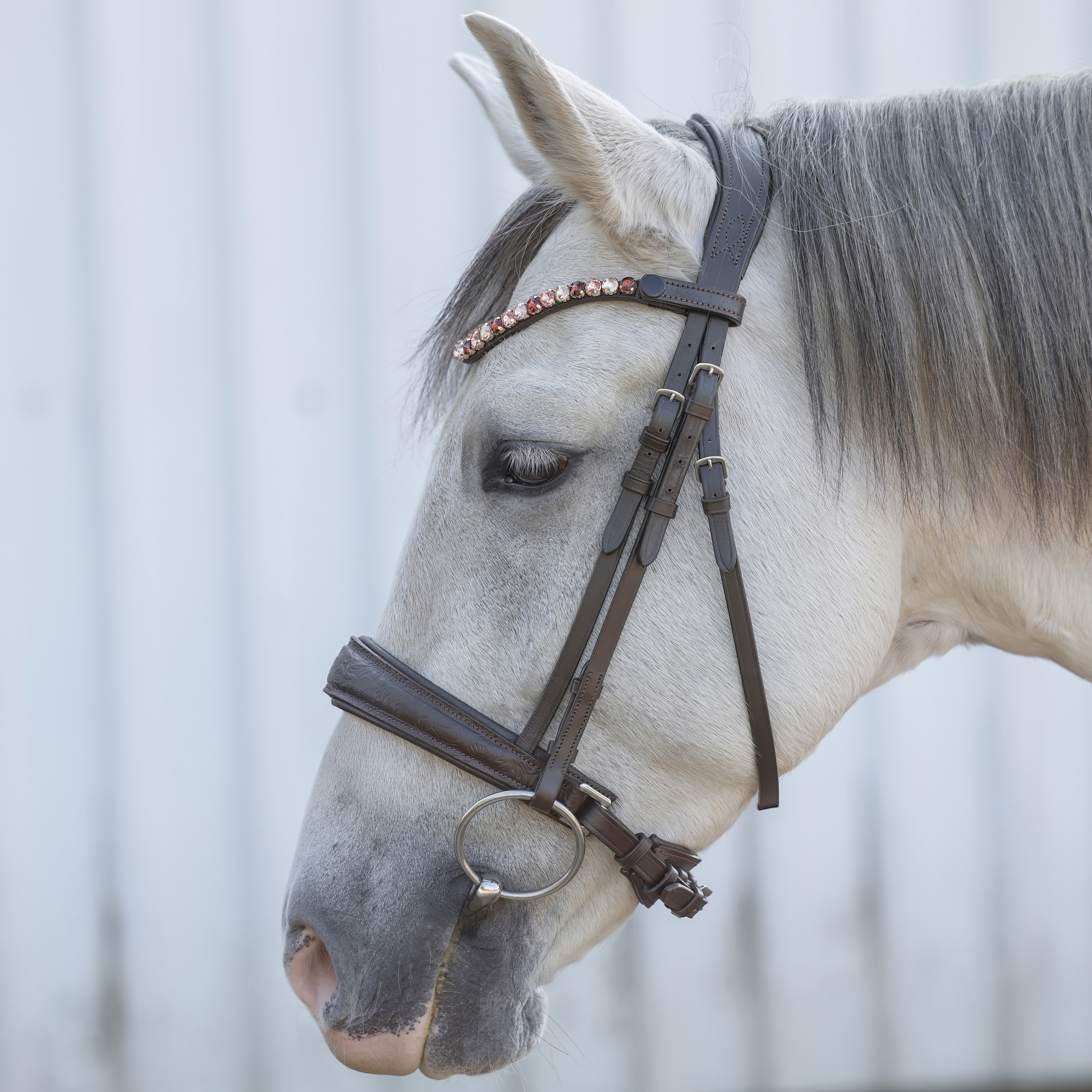 Trense-Paisley-Muster-Braun-ohne-Sperrriemen Trense-Paisley-Muster-Braun-ohne-Sperrriemen