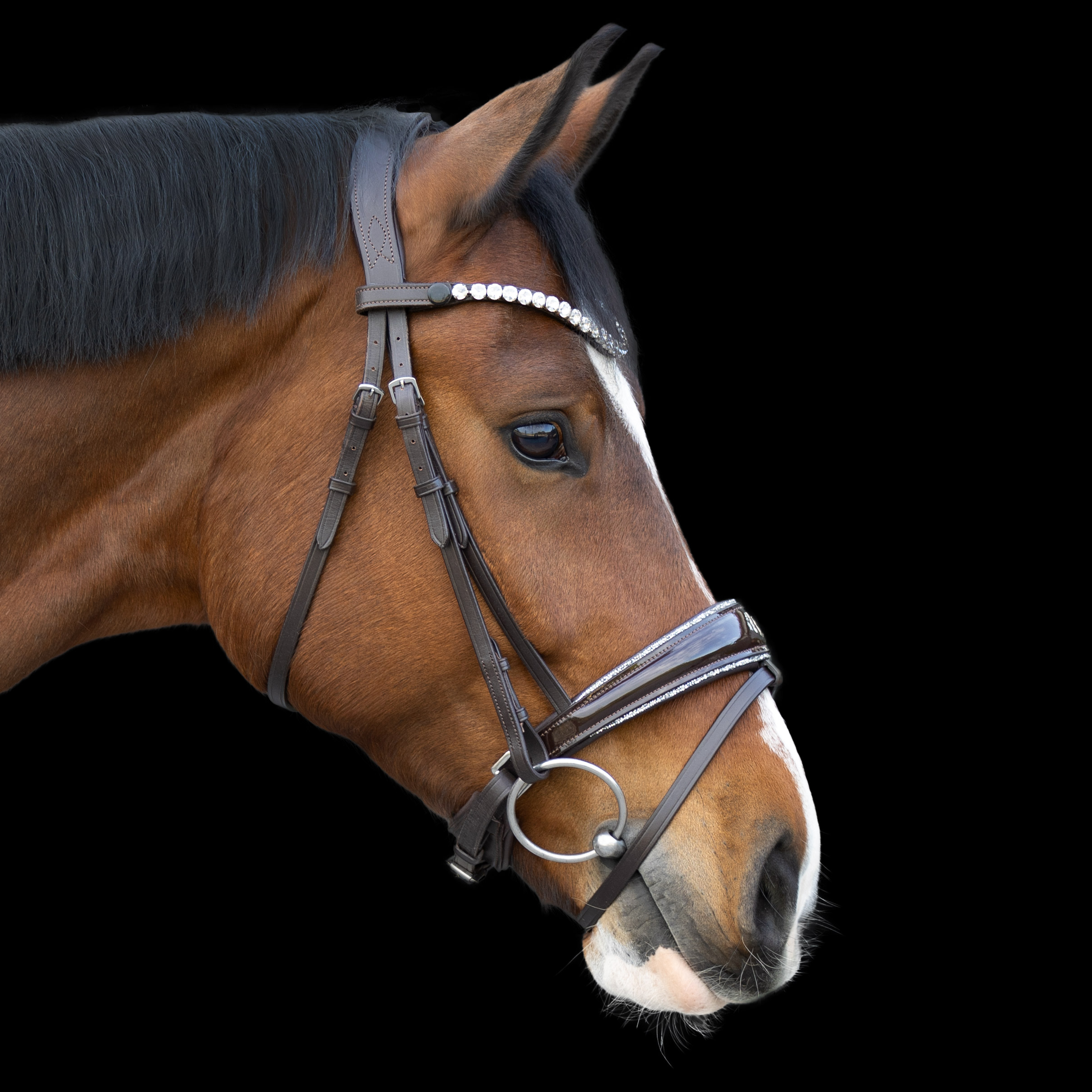 Trense-abnehmbarer-Sperrriemen-Braun-Shiny-Glitzer-Besatz-silber Trense-abnehmbarer-Sperrriemen-Braun-Shiny-Glitzer-Besatz-silber
