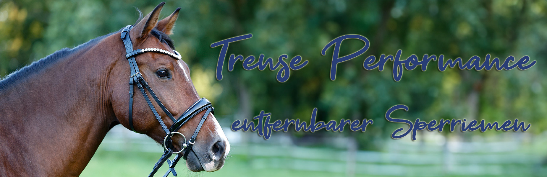 Trense-Performance-Lack-Schwarz-Banner Trense-Performance-Lack-Schwarz-Banner