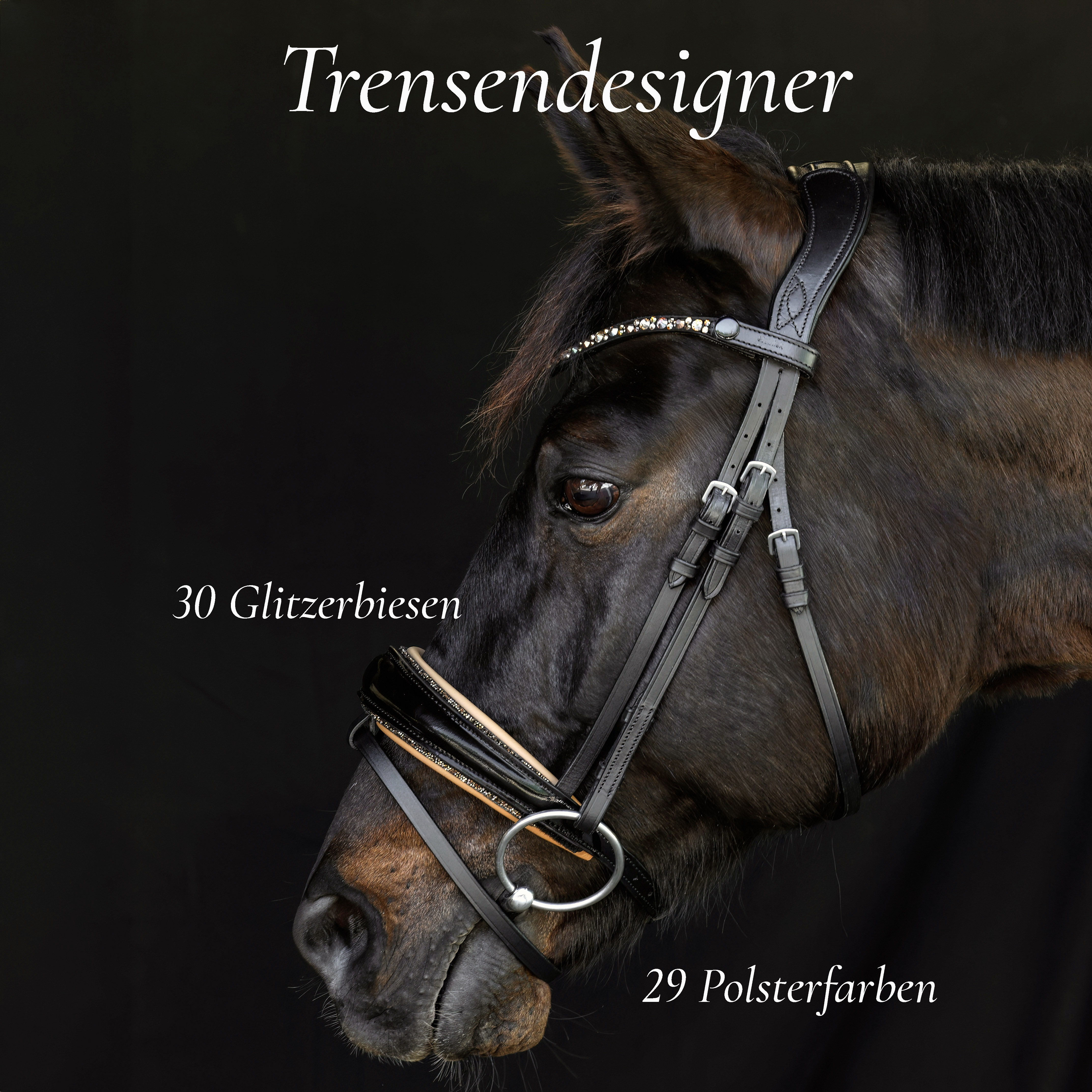 Trense-Switch-Shiny-entfernbarer-Sperrriemen-Schwarz-1 Trense-Switch-Shiny-entfernbarer-Sperrriemen-Schwarz-1