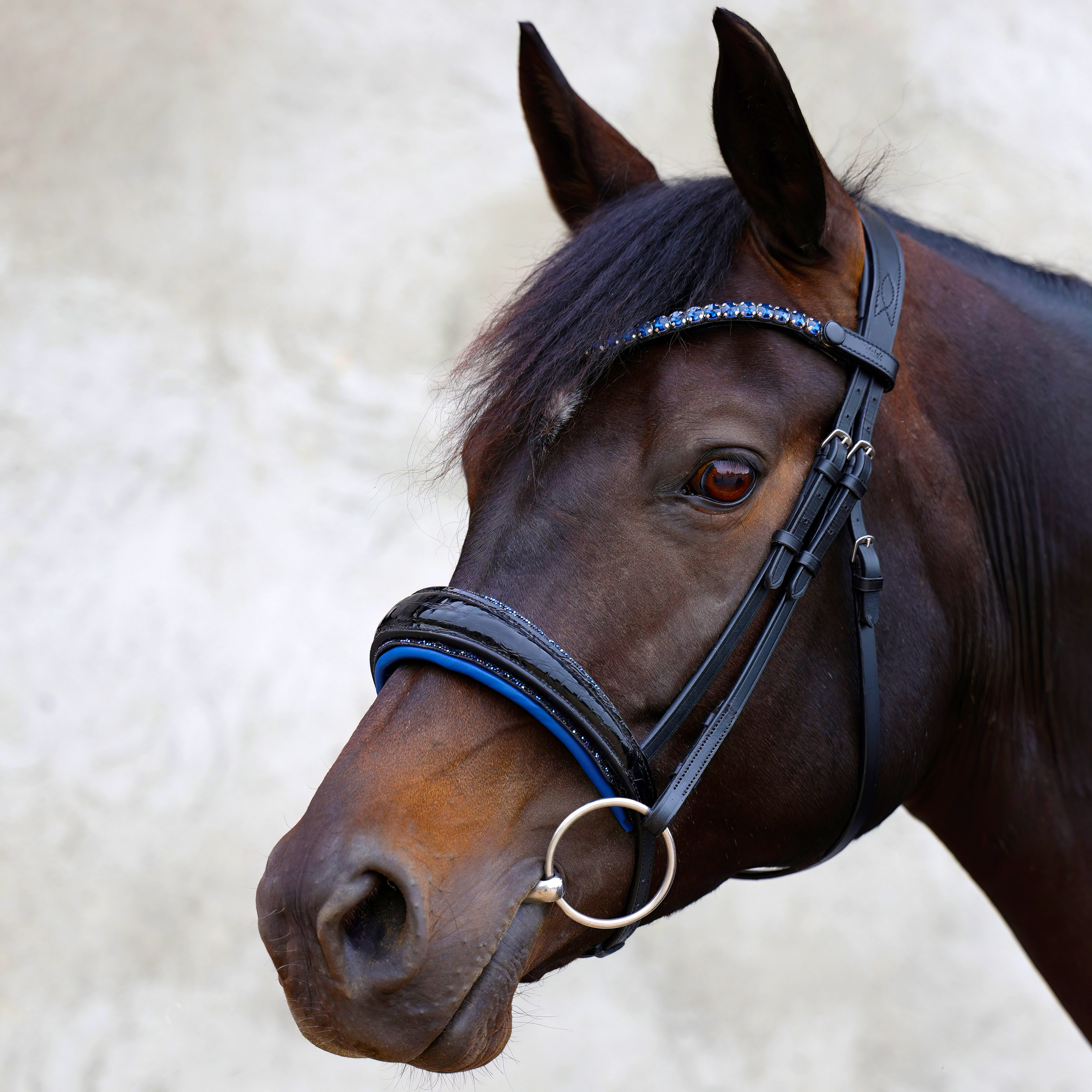 Trense-Croco-Lack-Switch-Schwarz-Glitzer Trense-Croco-Lack-Switch-Schwarz-Glitzer