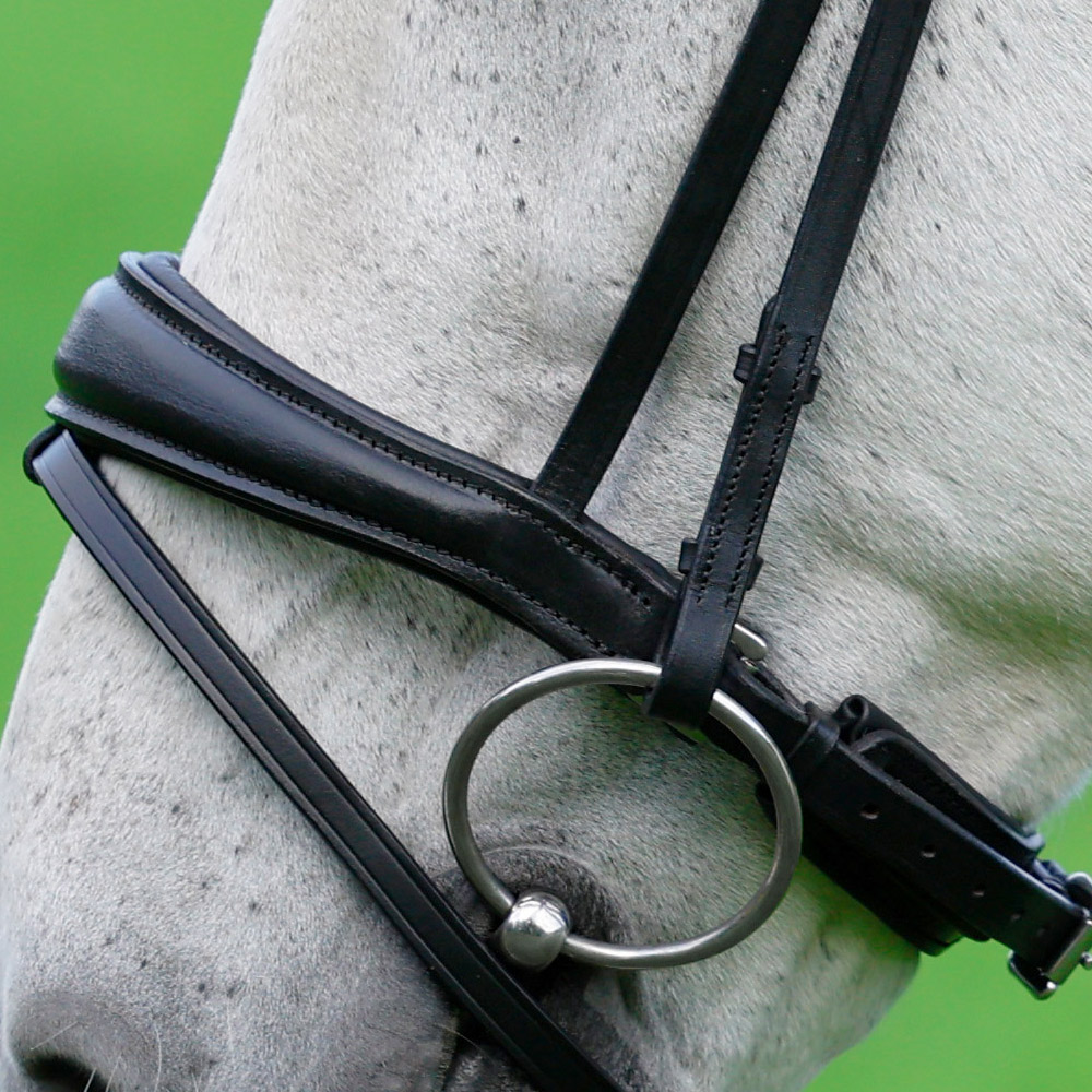 Backenstuecke-Competition-Schwarz-Zaumhaken-Warmblut-Vollblut Backenstuecke-Competition-Schwarz-Zaumhaken-Warmblut-Vollblut
