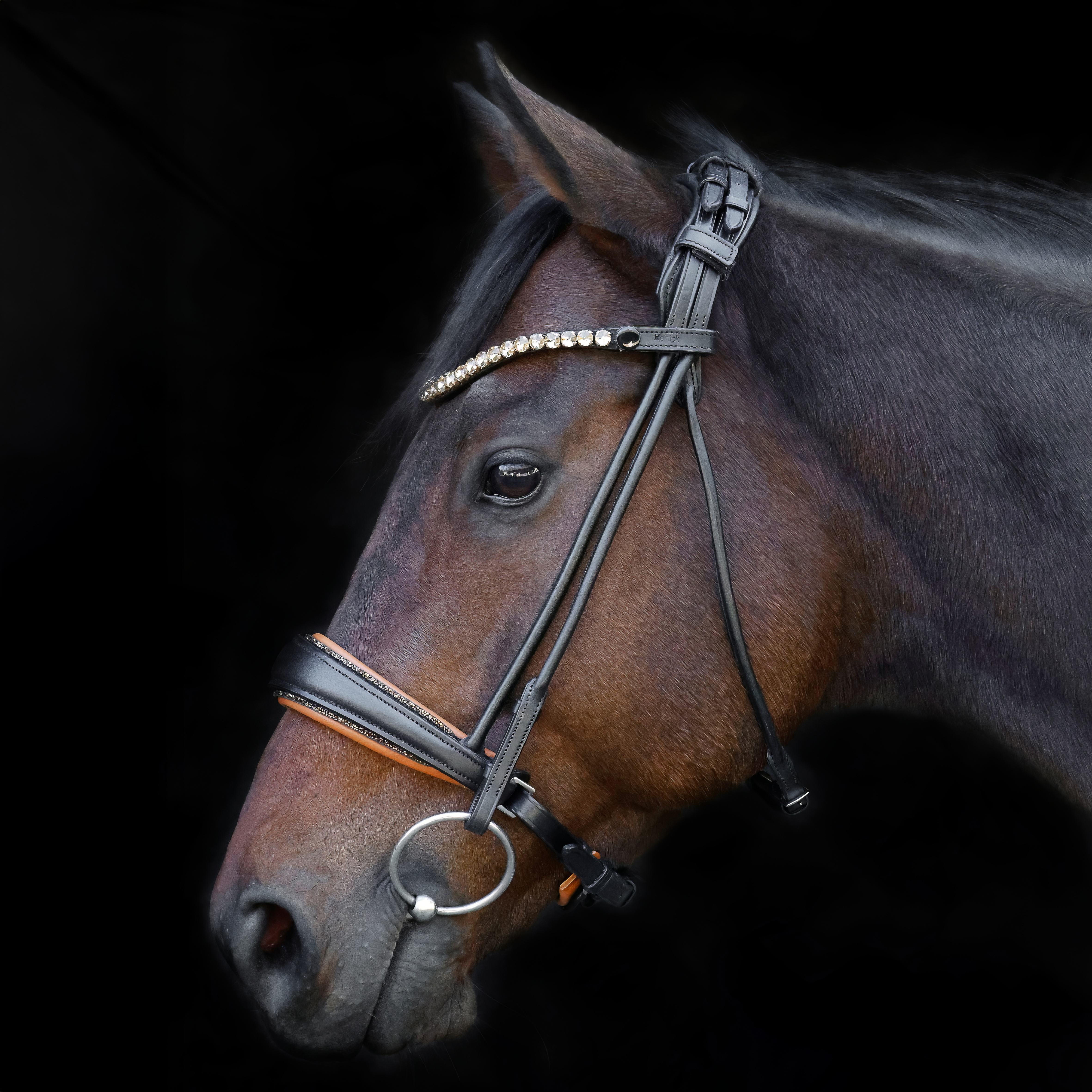 Trense-ProLine-rund-Schwarz-ohne-Sperrriemen-SWITCH Trense-ProLine-rund-Schwarz-ohne-Sperrriemen-SWITCH