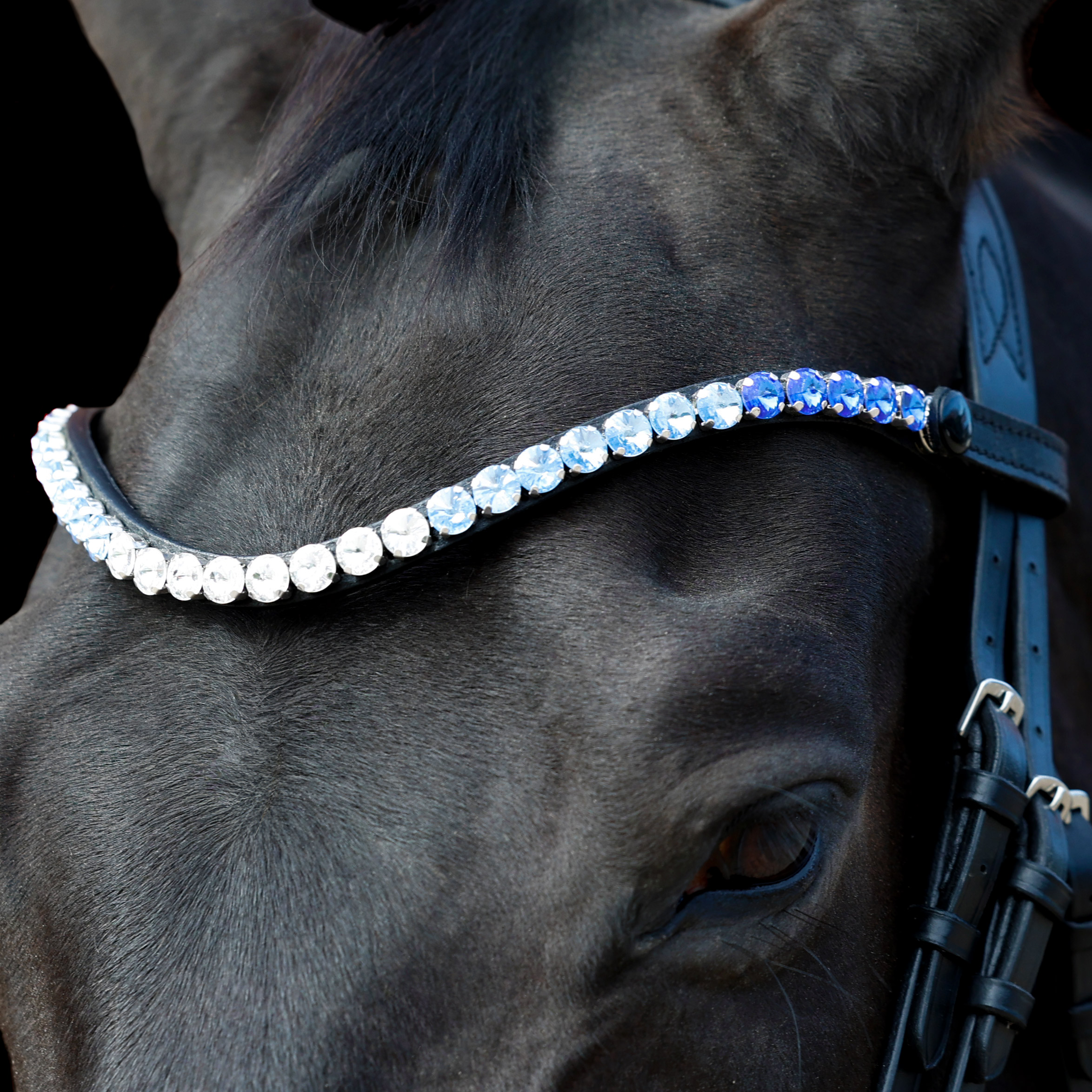Stirnriemen-Glow-Sapphire-pferd
