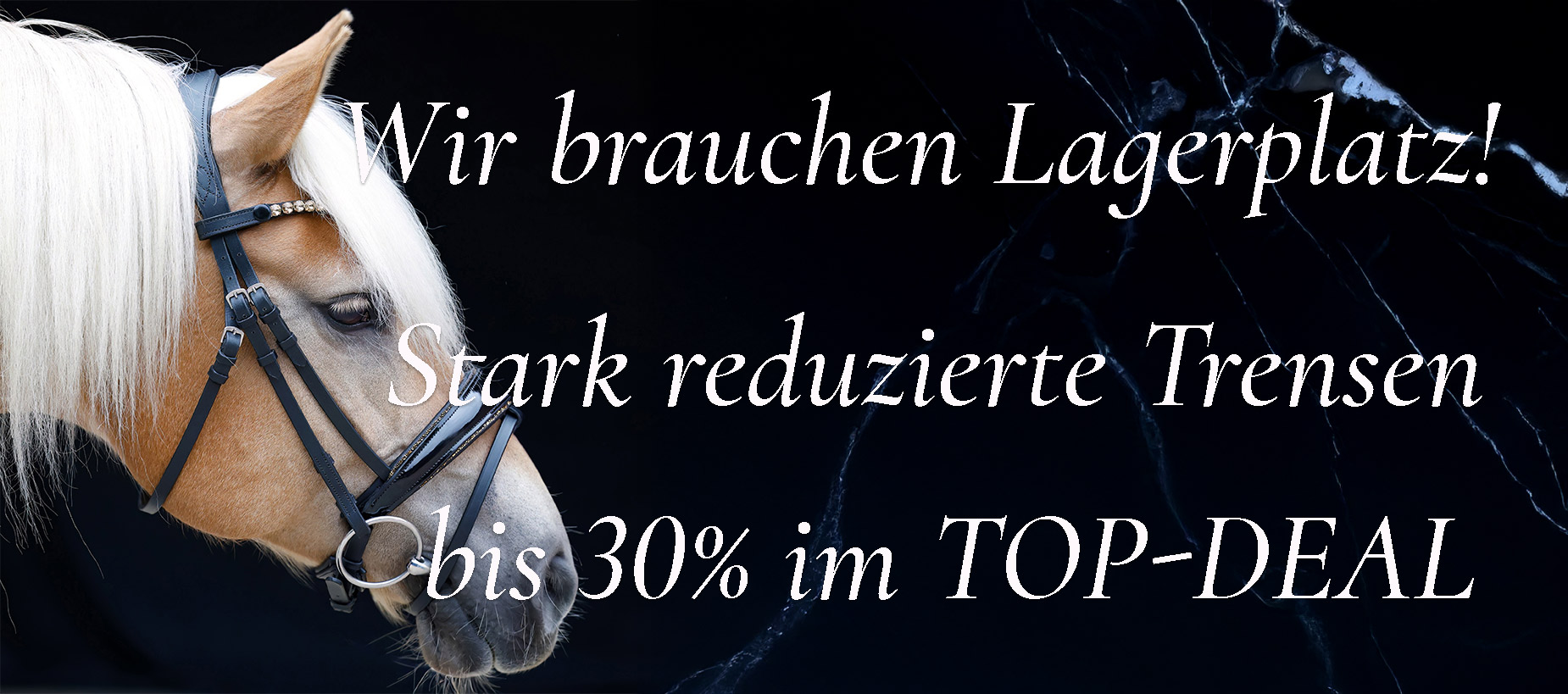 TOP-DEAL-Banner