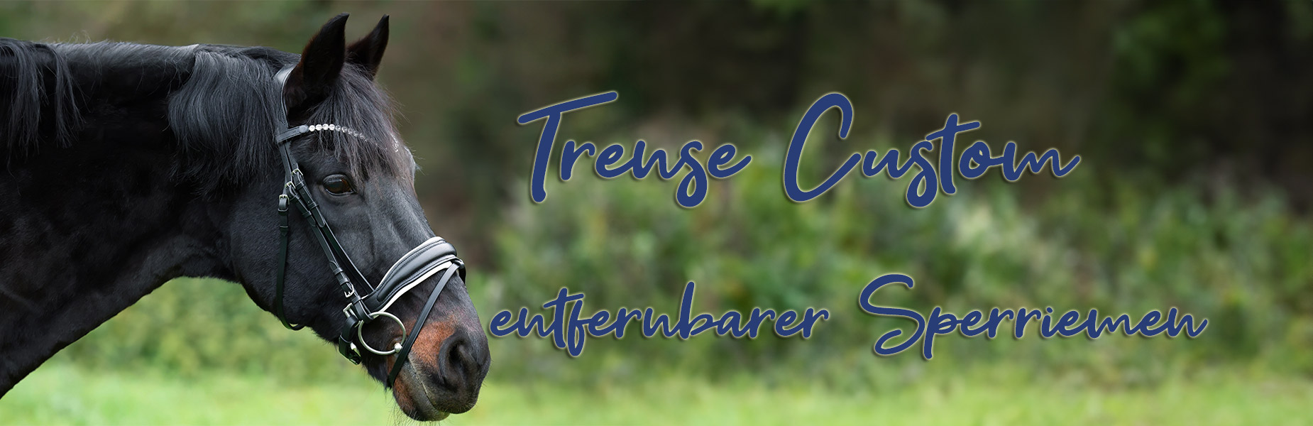 Trense-Custom-Weiss-Banner Trense-Custom-Weiss-Banner