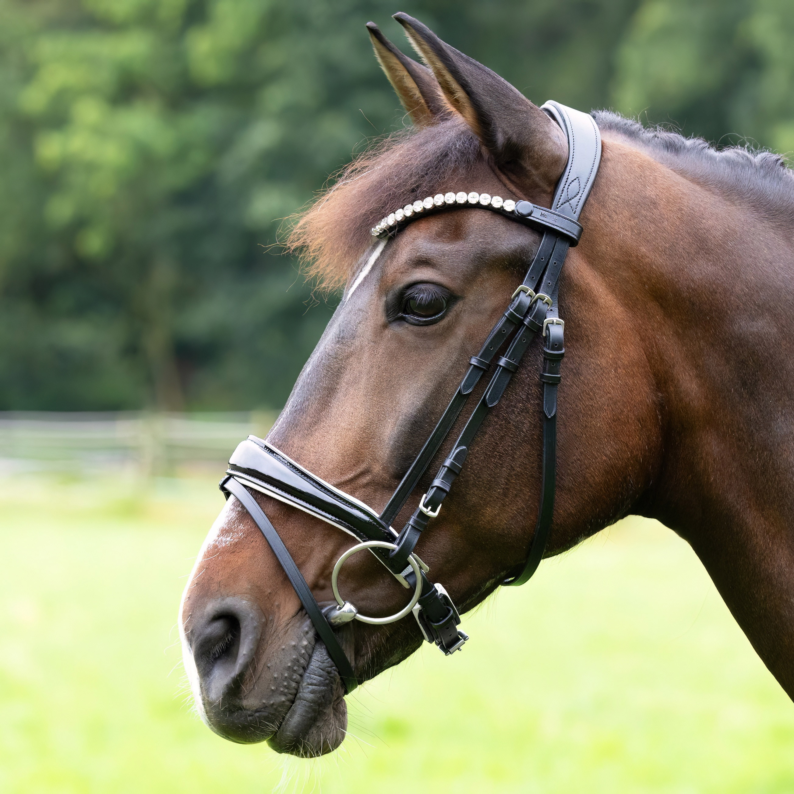Trense-Competition-Schwarz-Weiss-Lack-Schnallen-Warmblut-Vollblut Trense-Competition-Schwarz-Weiss-Lack-Schnallen-Warmblut-Vollblut