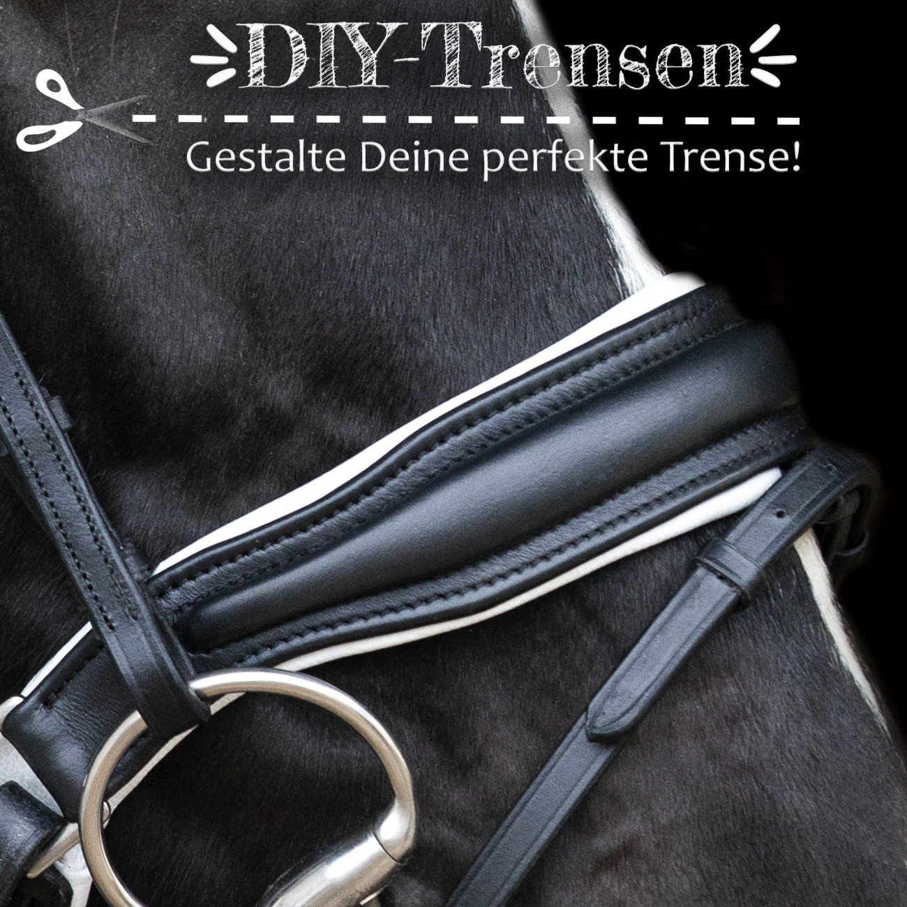 Trense-selbst-gestallten Trense-selbst-gestallten