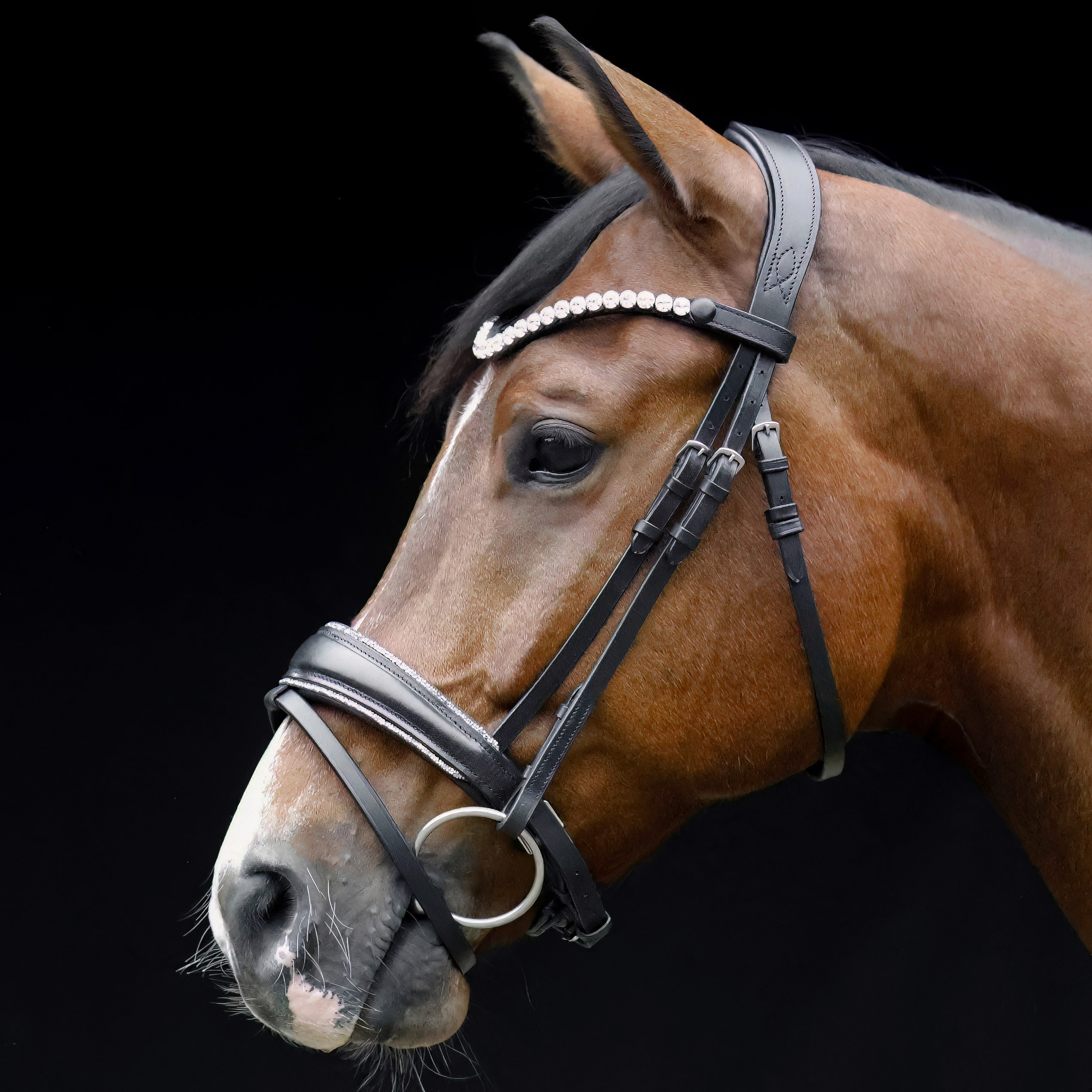 Trense-Shiny-Glitzer-Reithalfter-Schwarz-Silber-entfernbarer-Sperrriemen Trense-Shiny-Glitzer-Reithalfter-Schwarz-Silber-entfernbarer-Sperrriemen