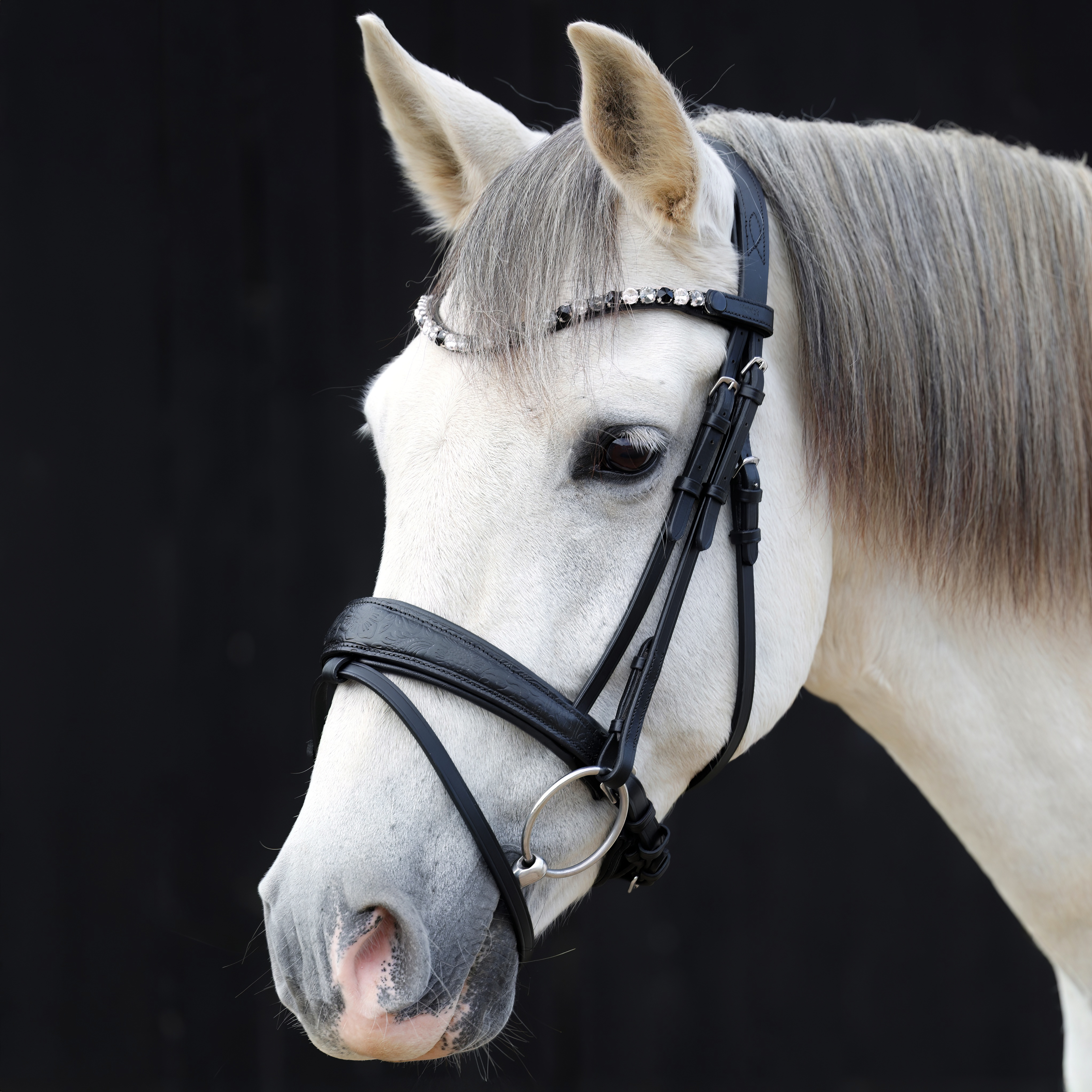 Trense-Paisley-mit-Muster-Schwarz-entfernbarer-Sperrriemen Trense-Paisley-mit-Muster-Schwarz-entfernbarer-Sperrriemen