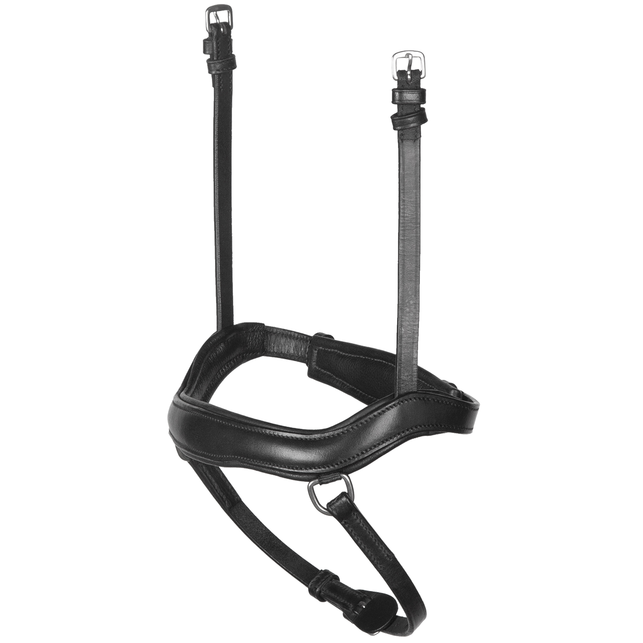 Reithalfter-Anatomic-anatomisch-mit-D-Ring-Anatomisch-Schwarz-1 Reithalfter-Anatomic-anatomisch-mit-D-Ring-Anatomisch-Schwarz-1