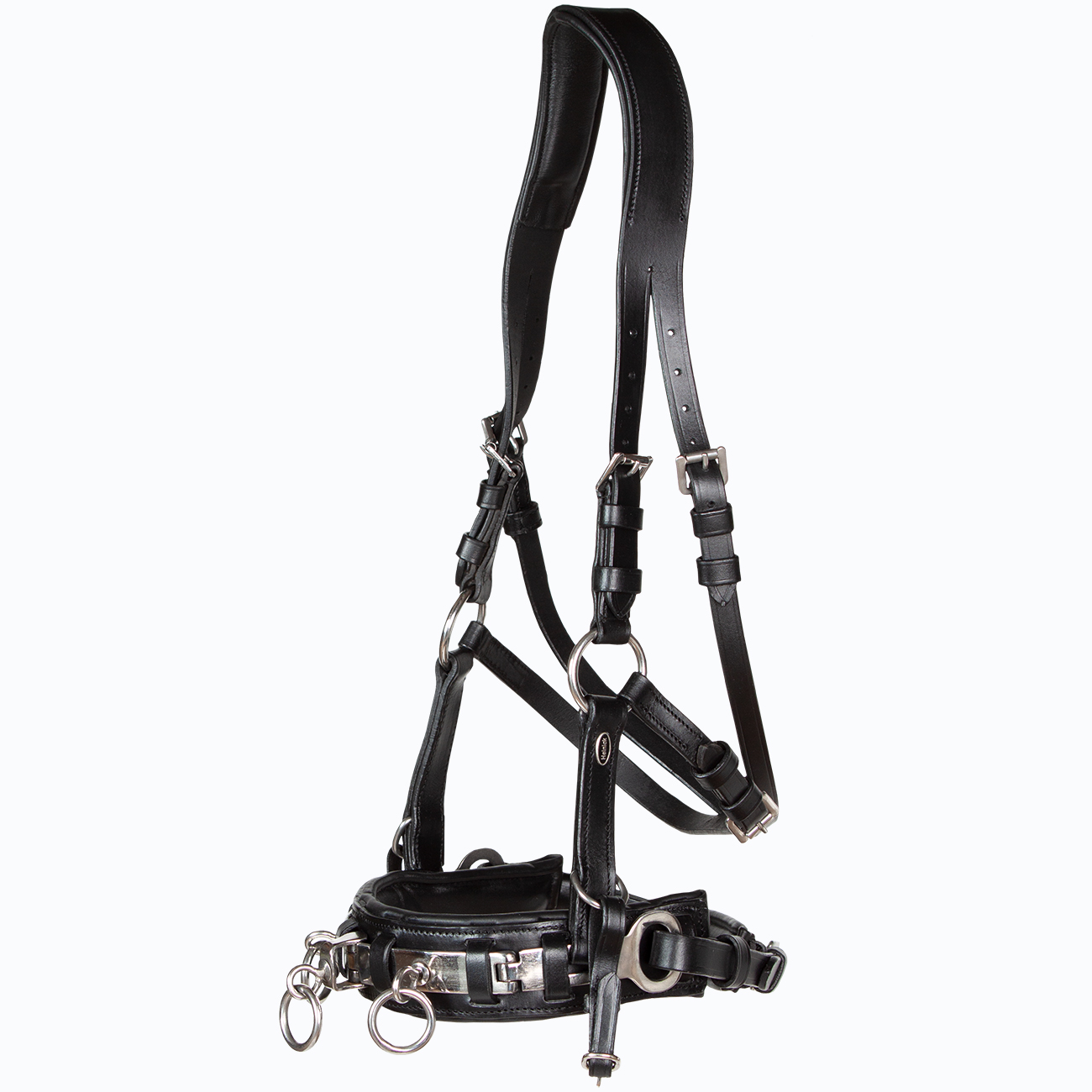 Kappzaum-Leder-anatomisch-mit-Naseneisen-Edelstahl-Wiener-WB-VB-Schwarz Kappzaum-Leder-anatomisch-mit-Naseneisen-Edelstahl-Wiener-WB-VB-Schwarz