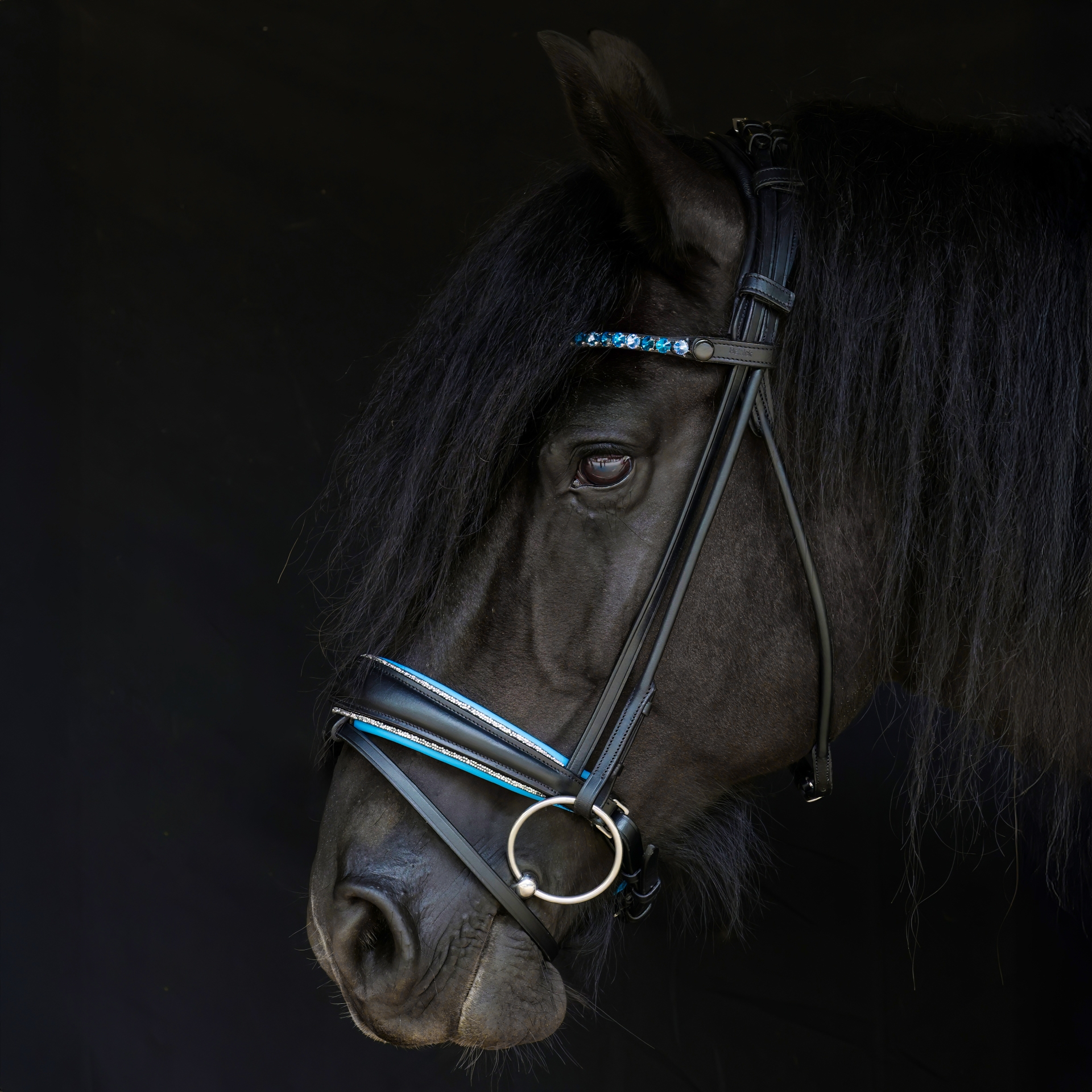 Trense-ProLine-Flach-Schwarz-entfernbarer-Sperrriemen-SWITCH