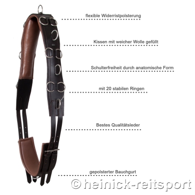 Anatomischer-Longiergurt-Braun-Warmblut-Vollblut