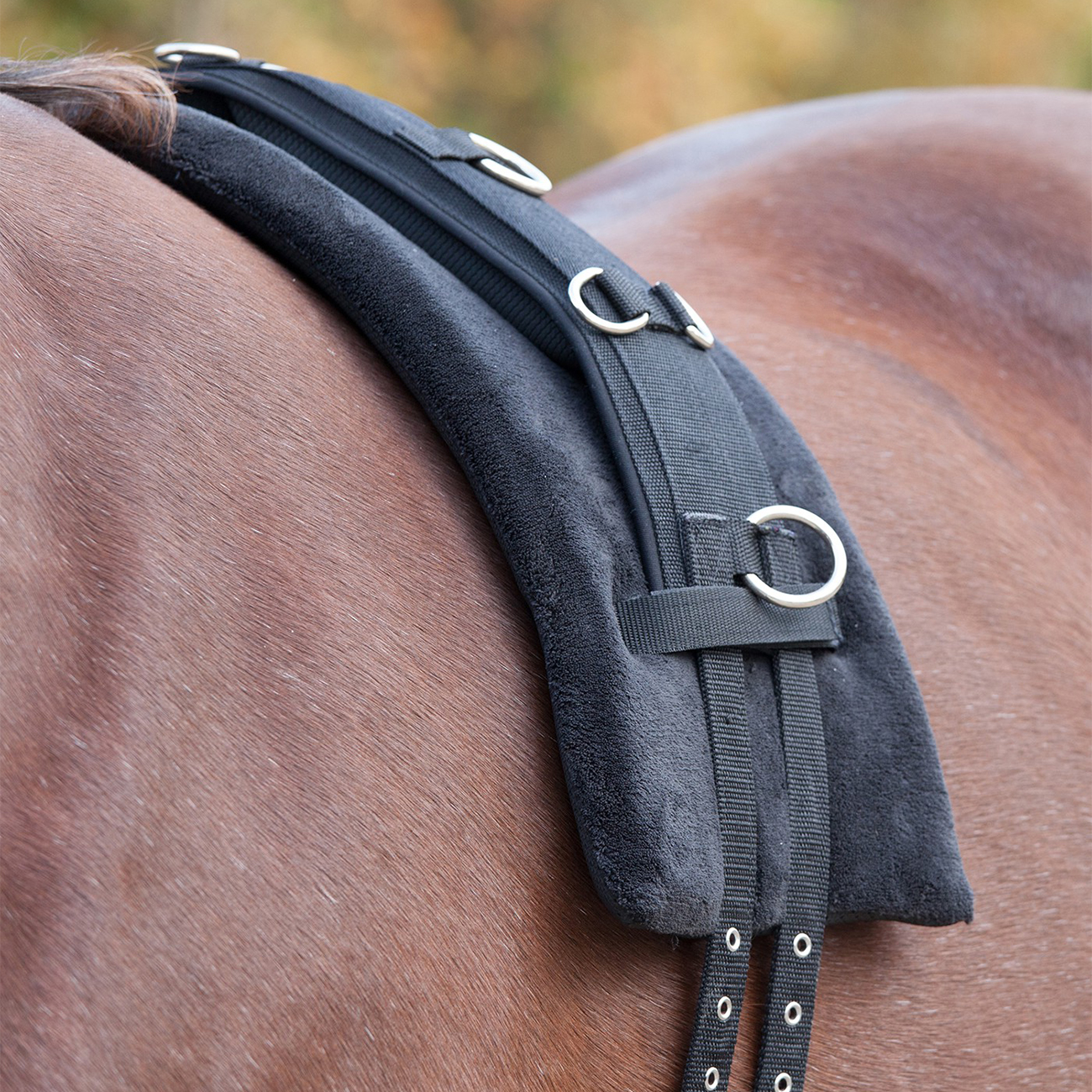 Longiergurtunterlage-Memory