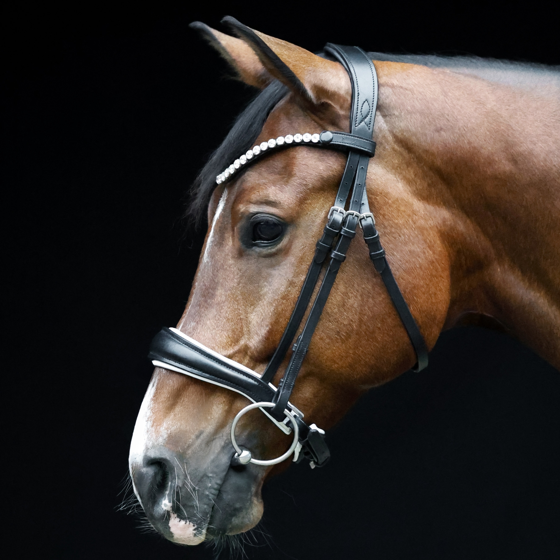 Trense-Competition-anatomisch-Reithalfter-Schwarz-Weiss-ohne-Sperrriemen