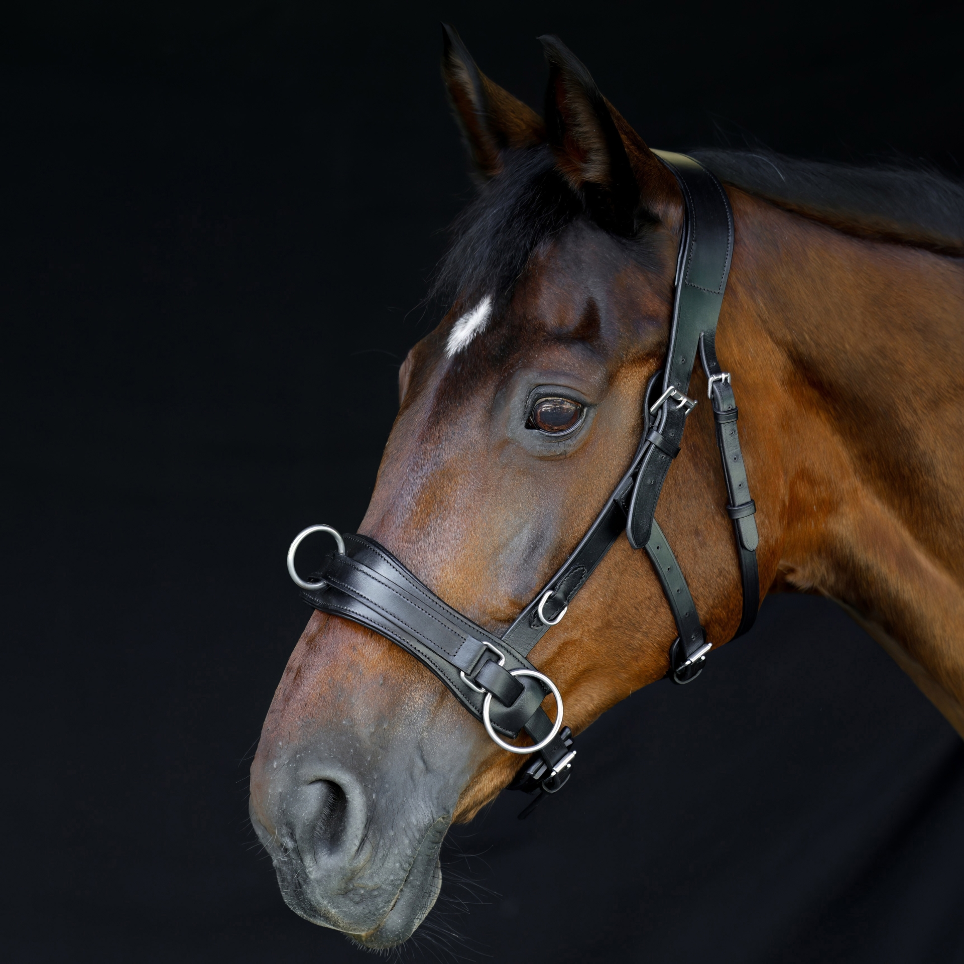 Kappzaum-ProLine-anatomisch-Schwarz-ohne-Gebissriemen