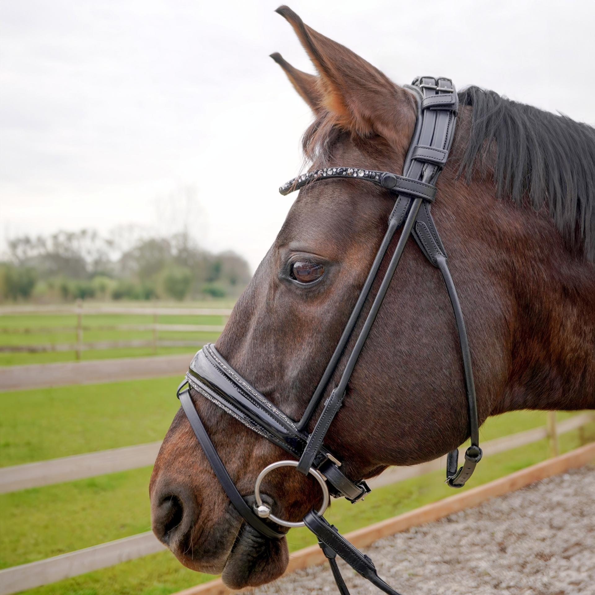 Trense-ProLine-Muenchen-Rund-Glitzer-Nasenriemen-Zaumhaken-entfernbarer-Sperrriemen