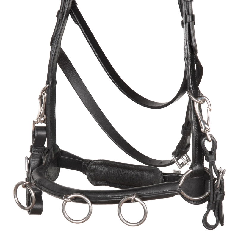 Kappzaum-Cavesson-Cavecon-Nasenriemen-Schwarz-Vollblut