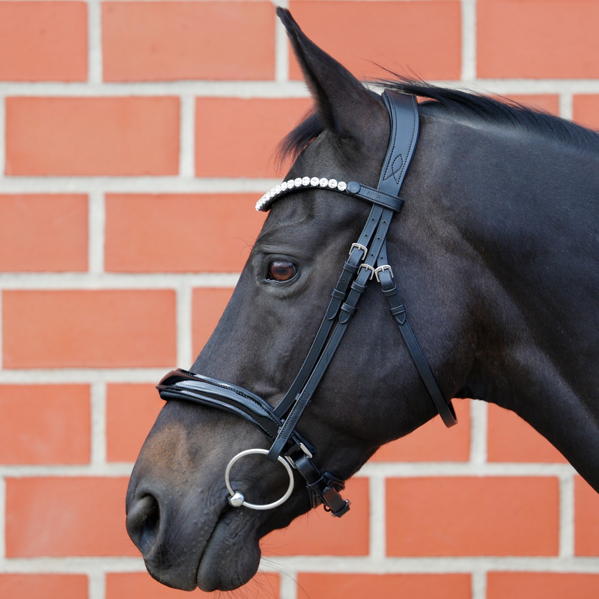 Trense-ohne-Sperrriemen-Curved-Lackleder-Schwarz