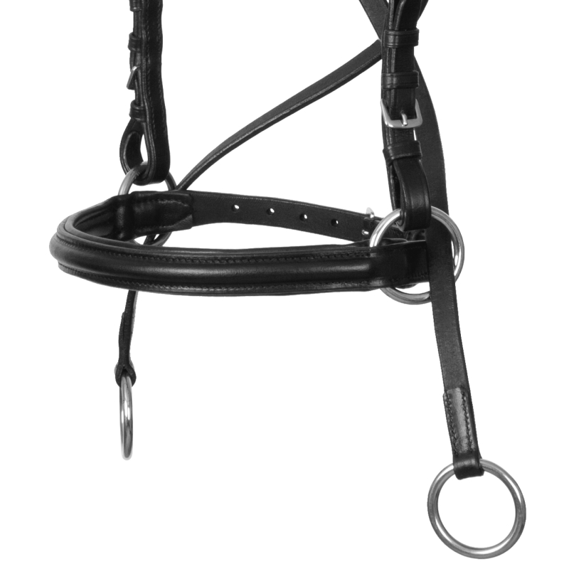 Reithalfter-Gebisslos-A