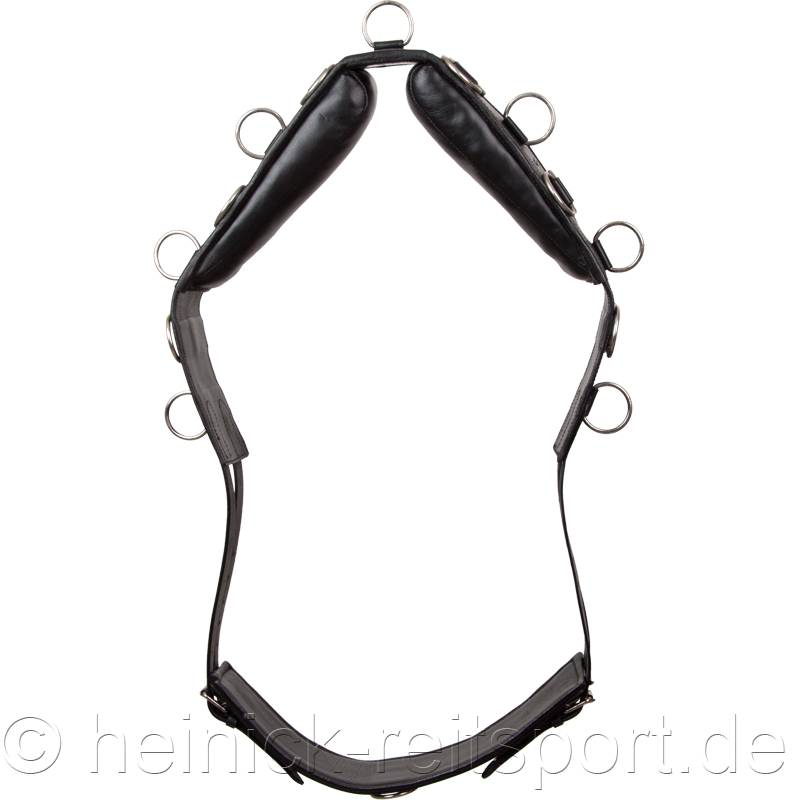 Lederlongiergurt-20-Ringe-Schwarz-Warmblut-Vollblut