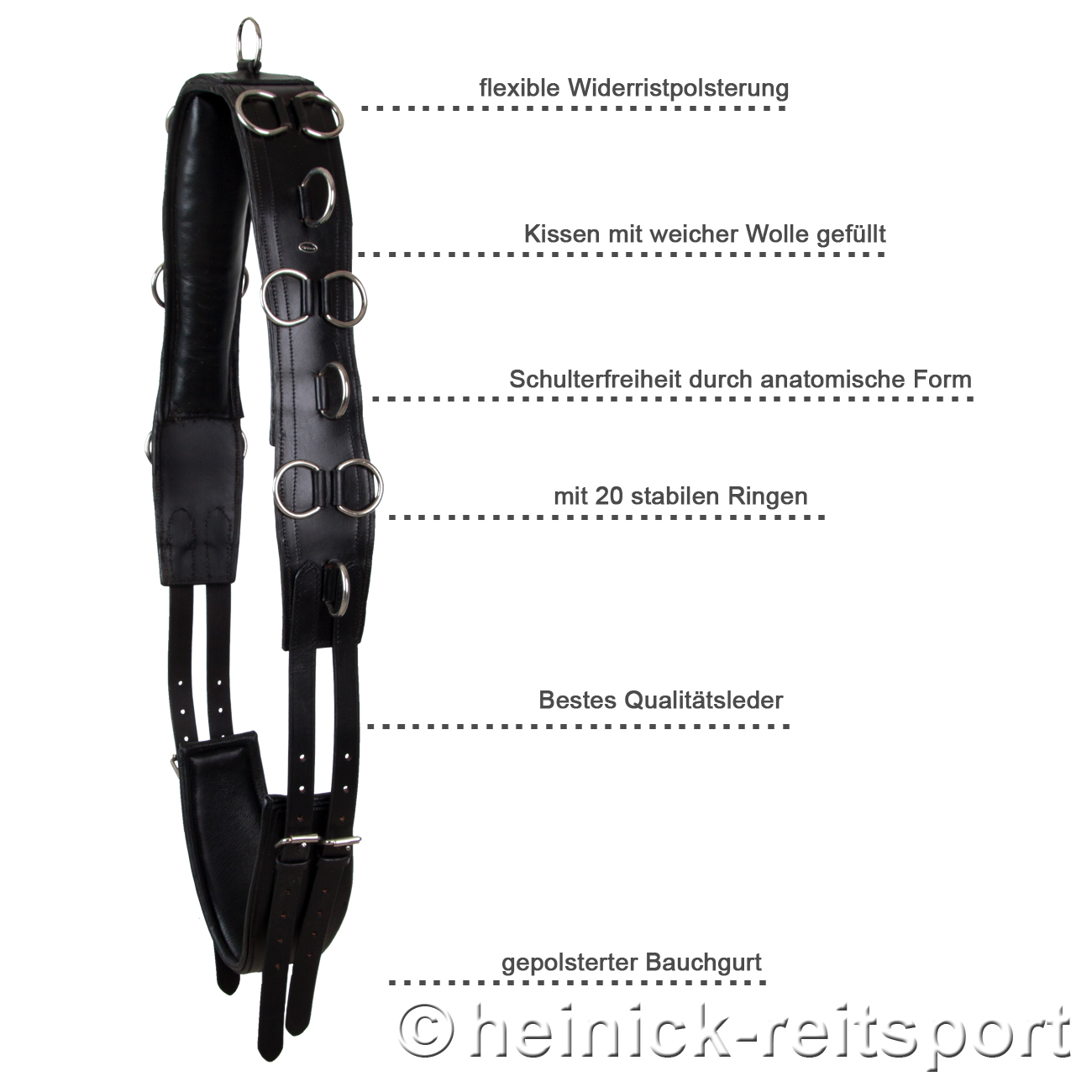 Anatomischer-Longiergurt-Schwarz-Warmblut-Vollblut