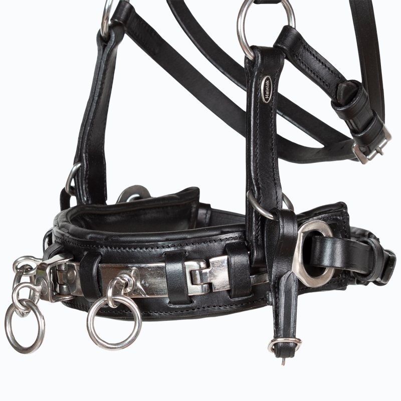 Kappzaumeisen-Naseneisen-Edelstahl-Leder-anatomisch-gebrochen-Wiener-WB-VB-Schwarz