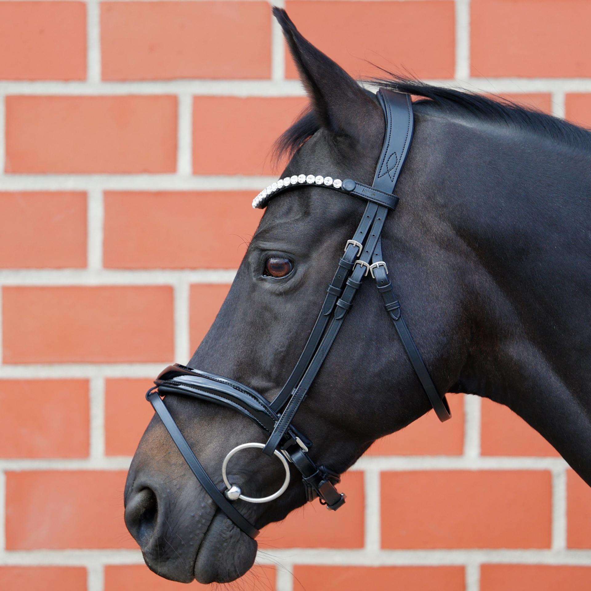 Trense-entfernbarer-Sperrriemen-Curved-Lackleder-Schwarz-Glow