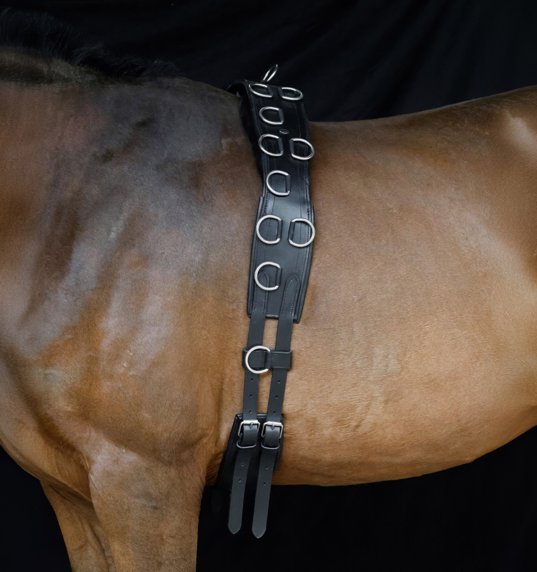 Anatomischer-Longiergurt-aus-Leder-Schwarz-Warmblut-Vollblut