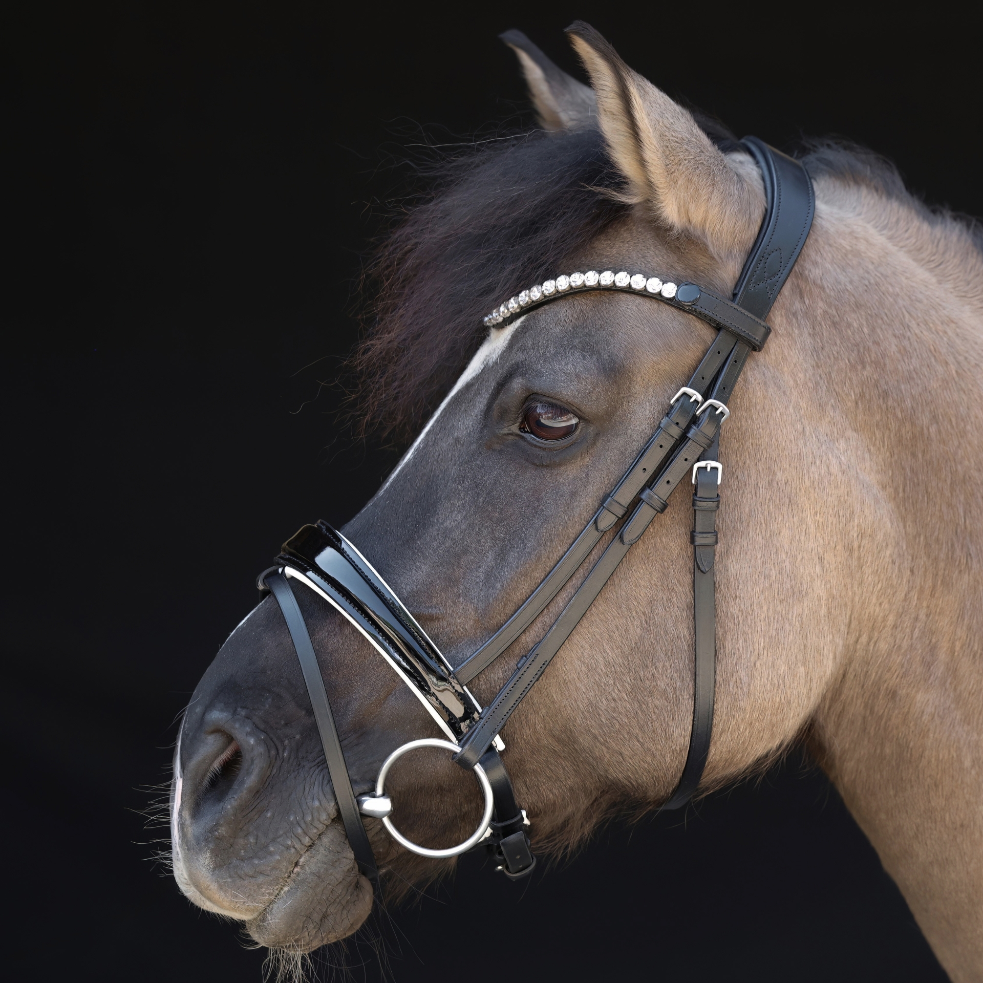 Trense-entfernbarer-Sperrriemen-Performance-anatomisches-Reithalfter-Lack-Schwarz-Weiss