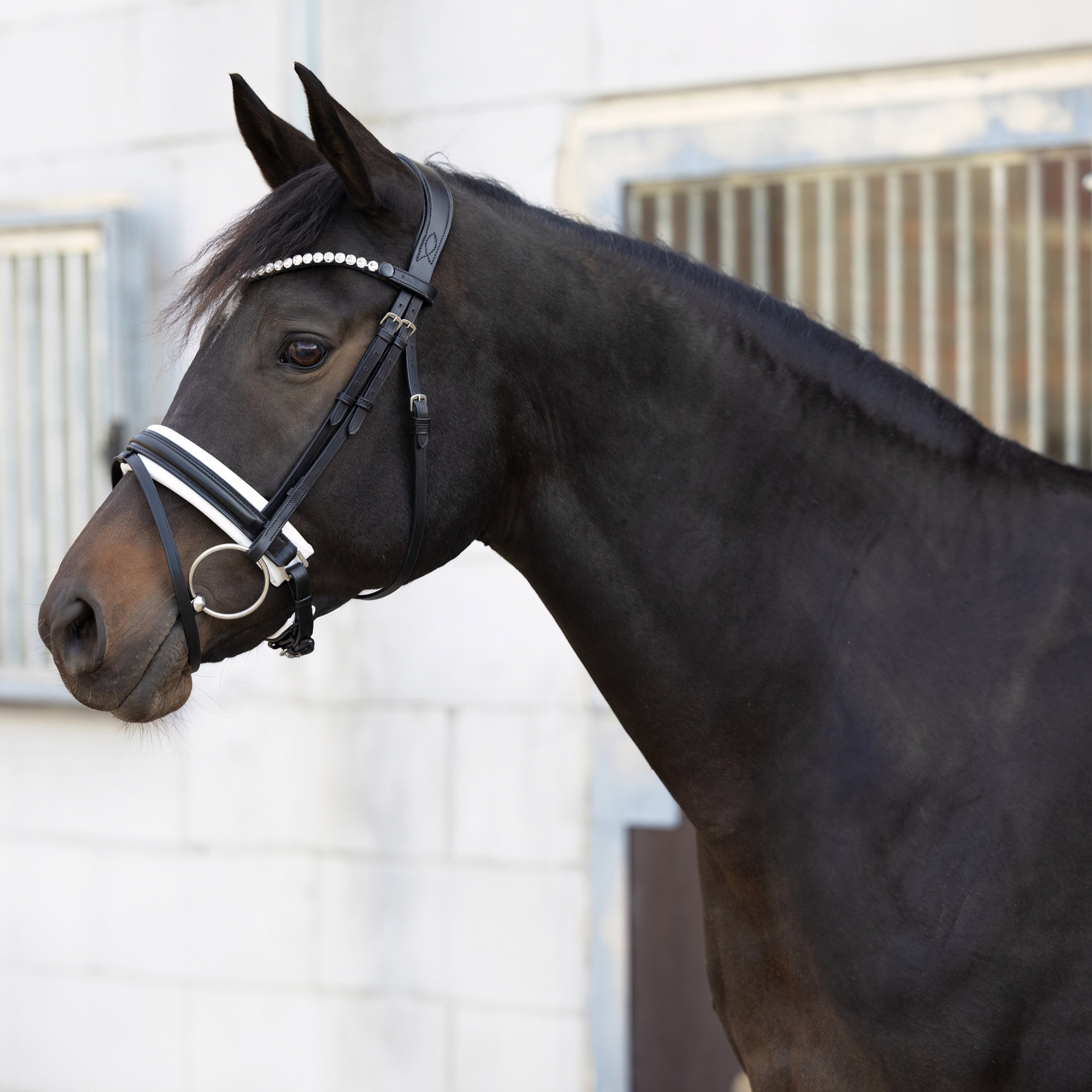 Trense-Motion-Schwarz-Weiss-breites-RH-Zaumhaken